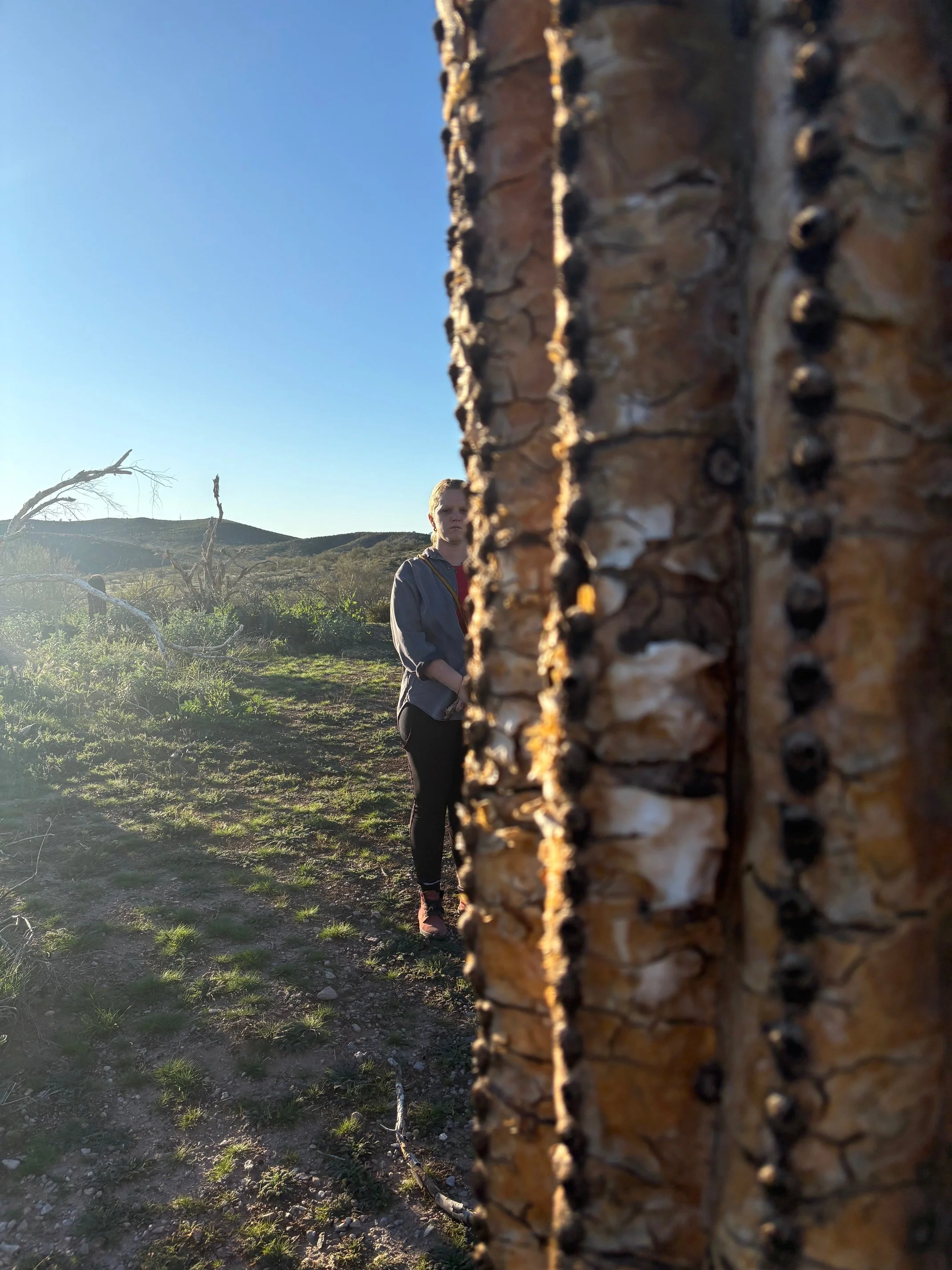 Person standing on a dirt trail in a grassy, hilly landscape during sunset, with a large cactus in the foreground.