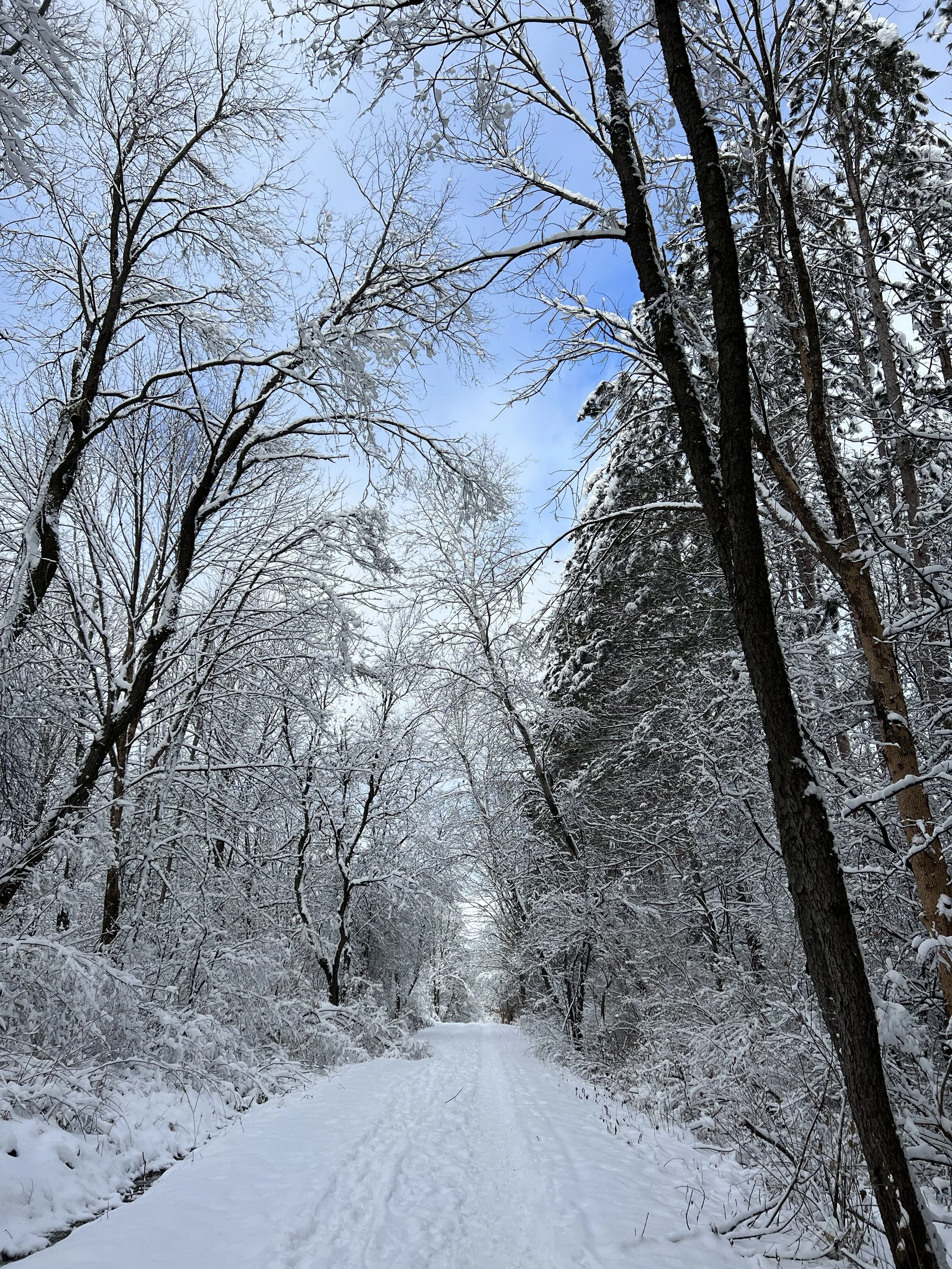 ❄️ Welcoming December: A Month of Reflection, Softness, and Release