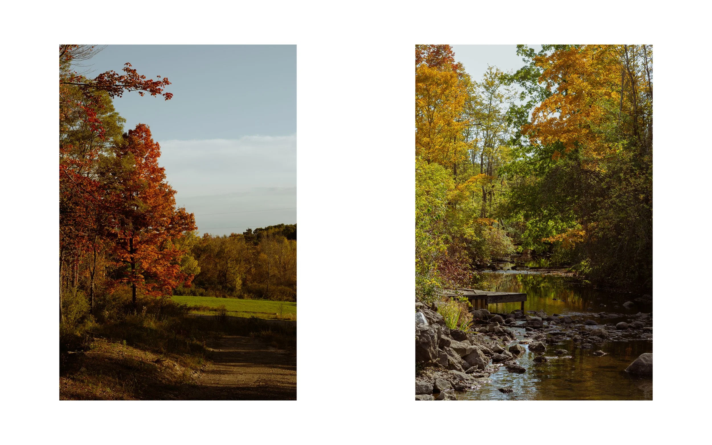 Photobook Layout5.jpg