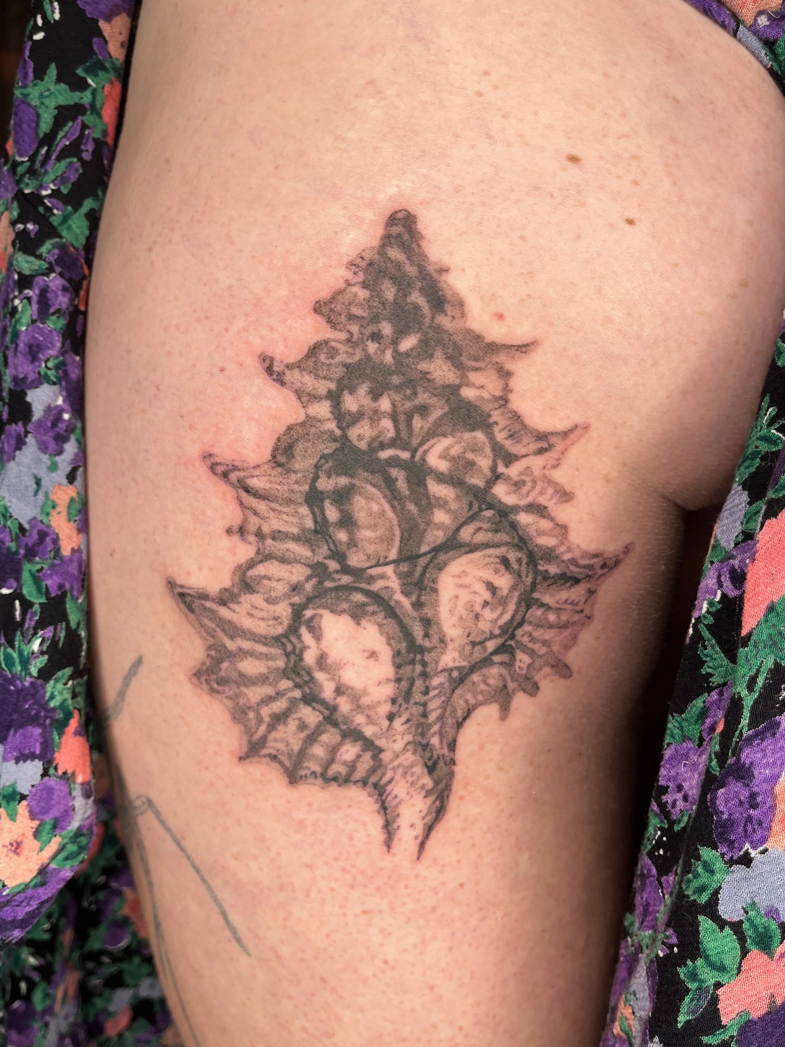 machine, 5 hours, 2026