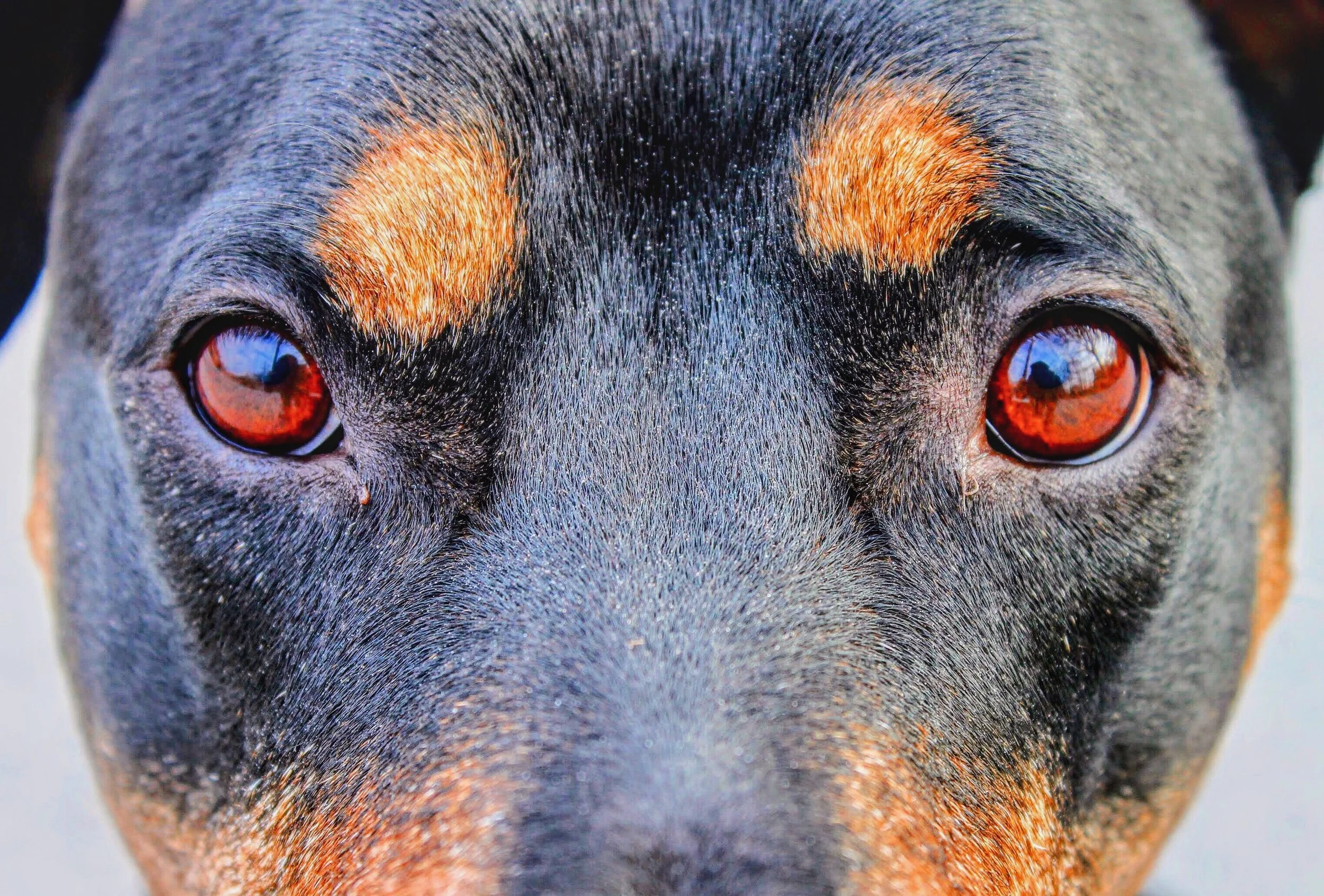 IMG_0145 Copy_Original.jpeg