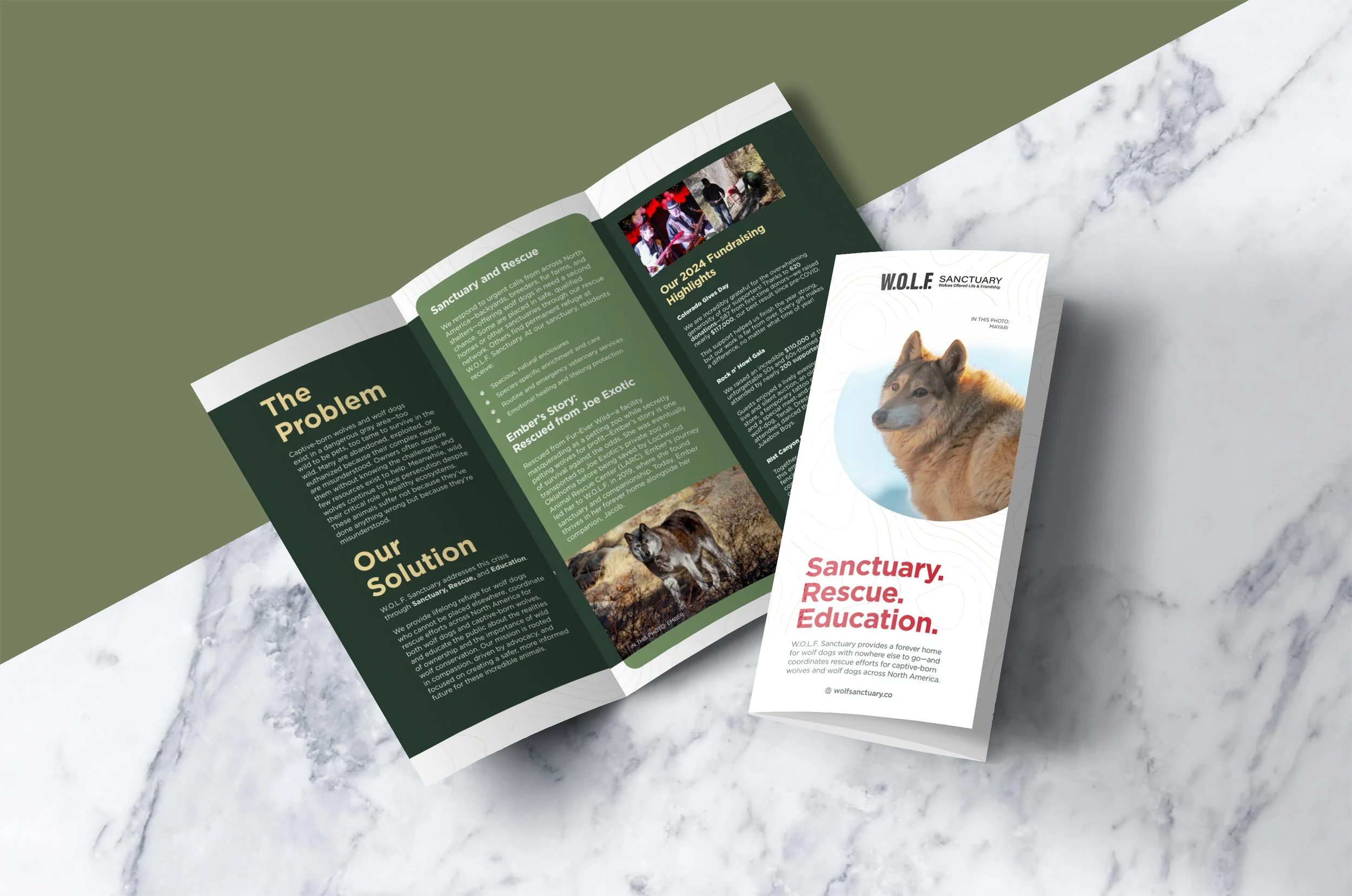 Free-Tri-Fold-Mockup-PSD-File.jpg