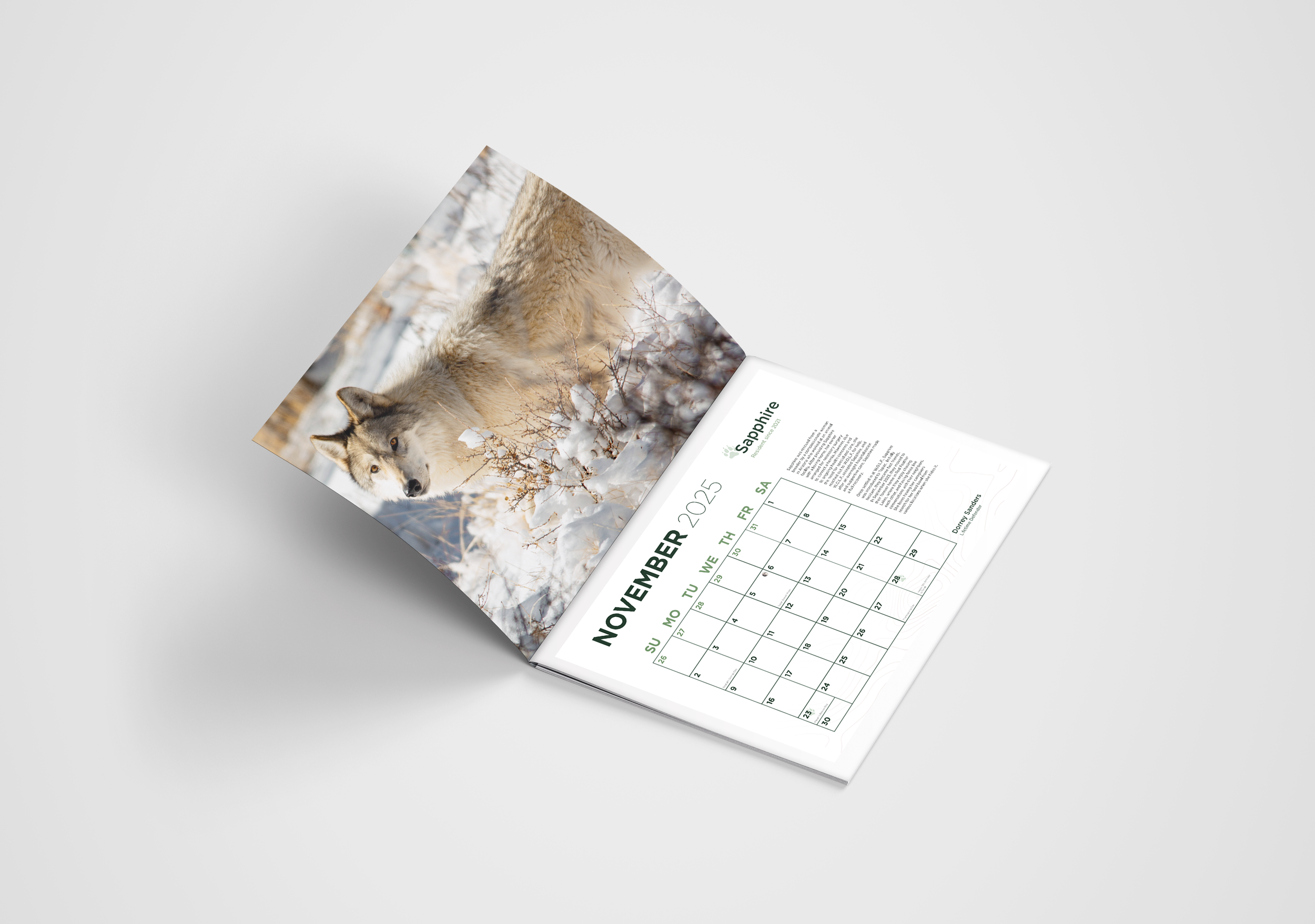 Booklet Calendar Mockup 2019.png