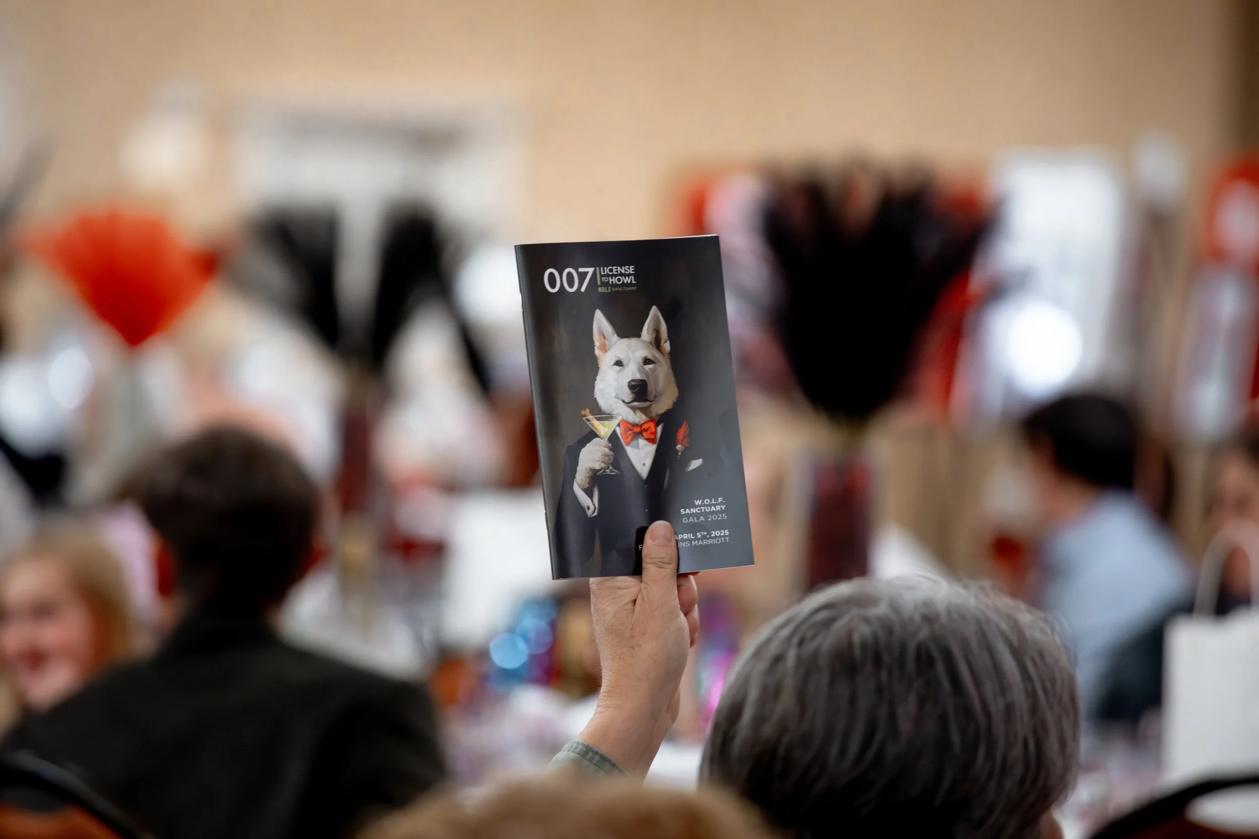 WOLFGala2533.jpg