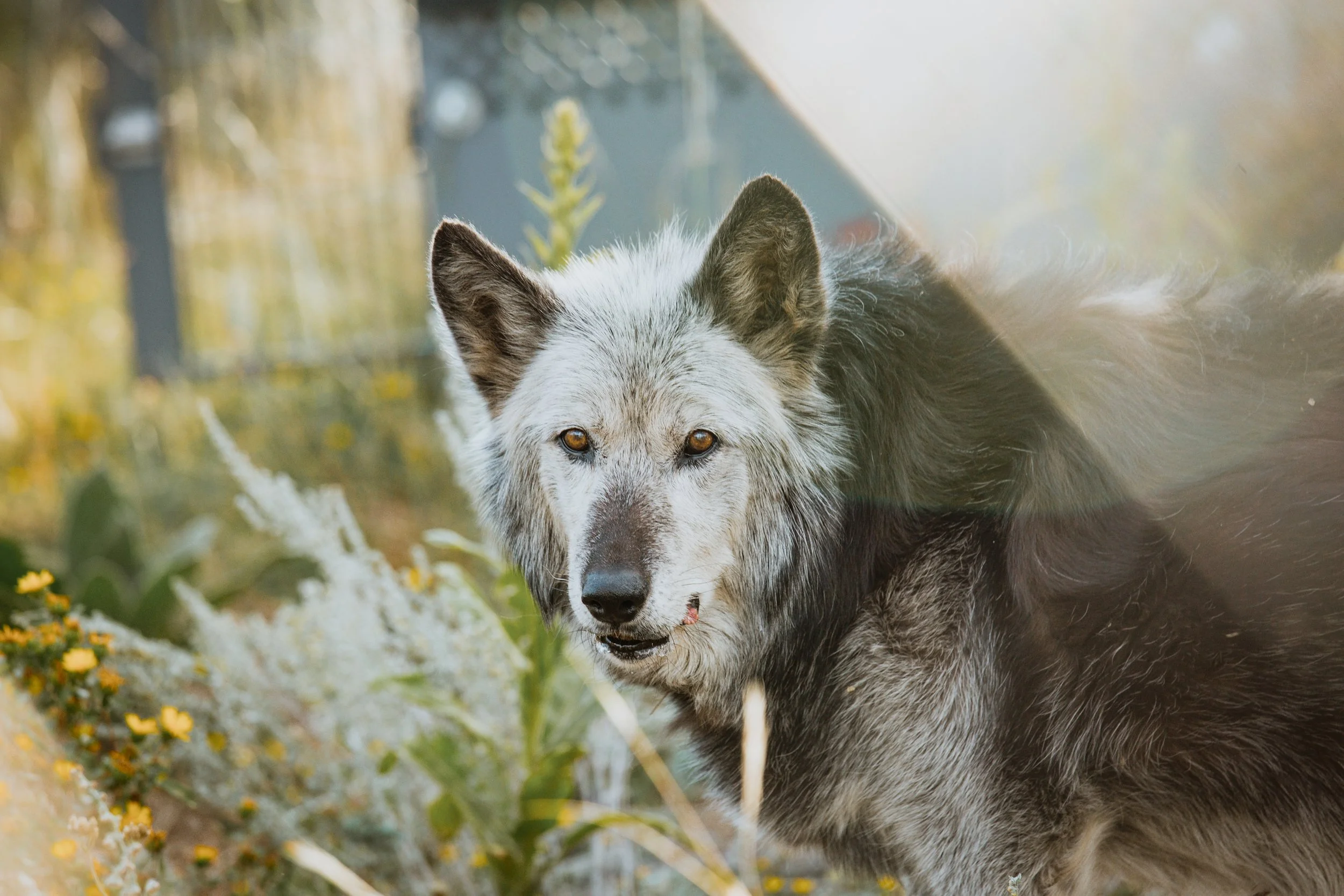 Tundra_Sept2023_02.jpg