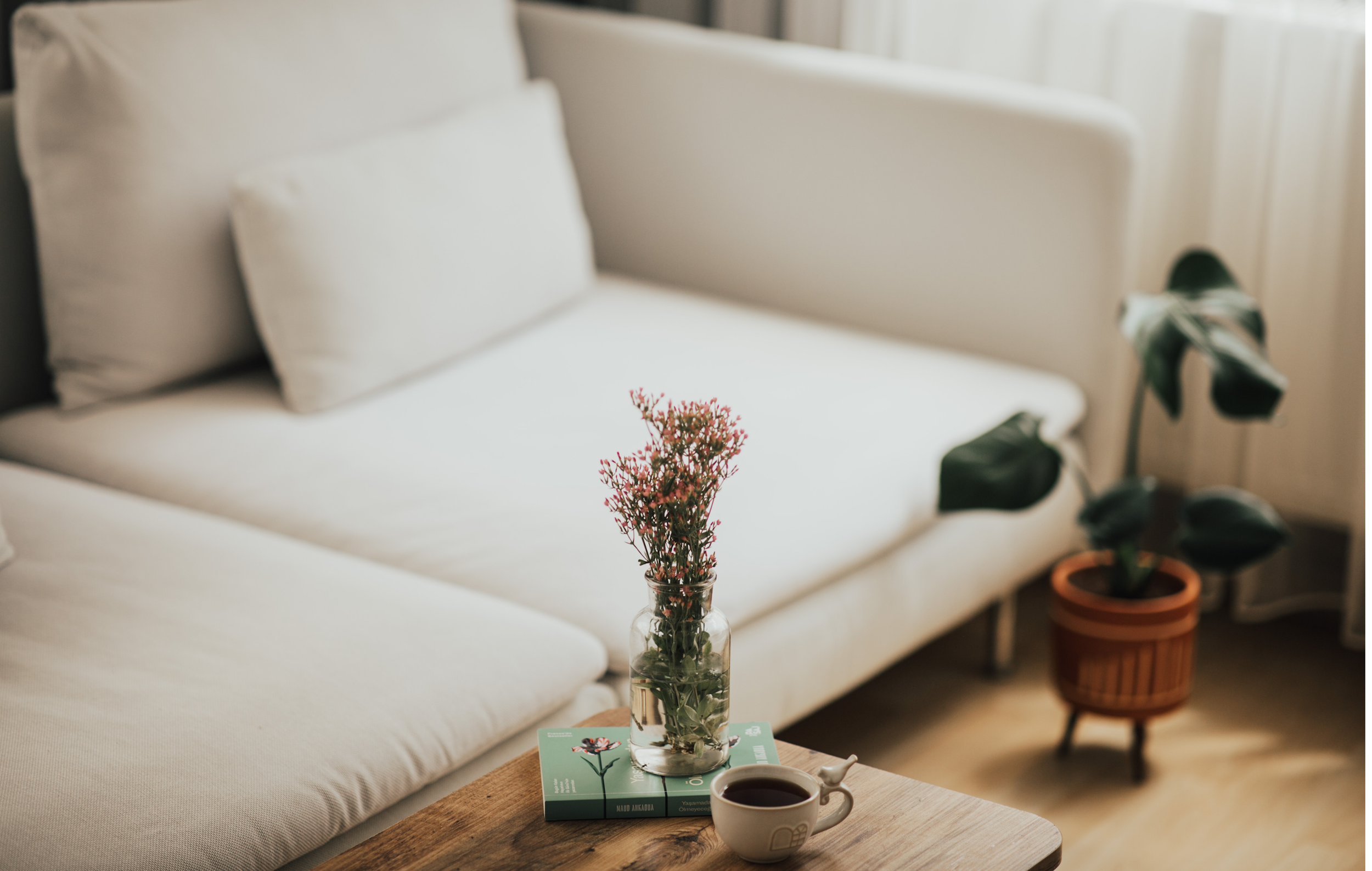 A cozy living room scene with a white sofa, a wooden coffee table featuring a glass vase with pink flowers, a cup of coffee, and a green book. A potted plant with large green leaves is beside the sofa.