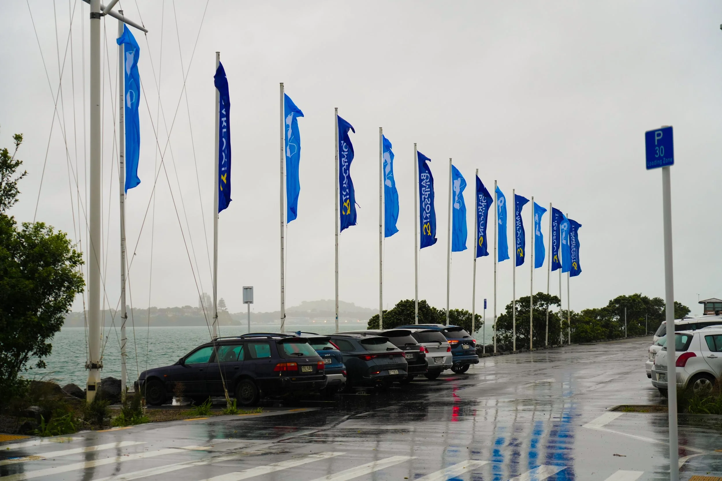 A parking lot near a body of water on a rainy day, with a row of blue flags along the edge, some cars parked, and trees in the background.
