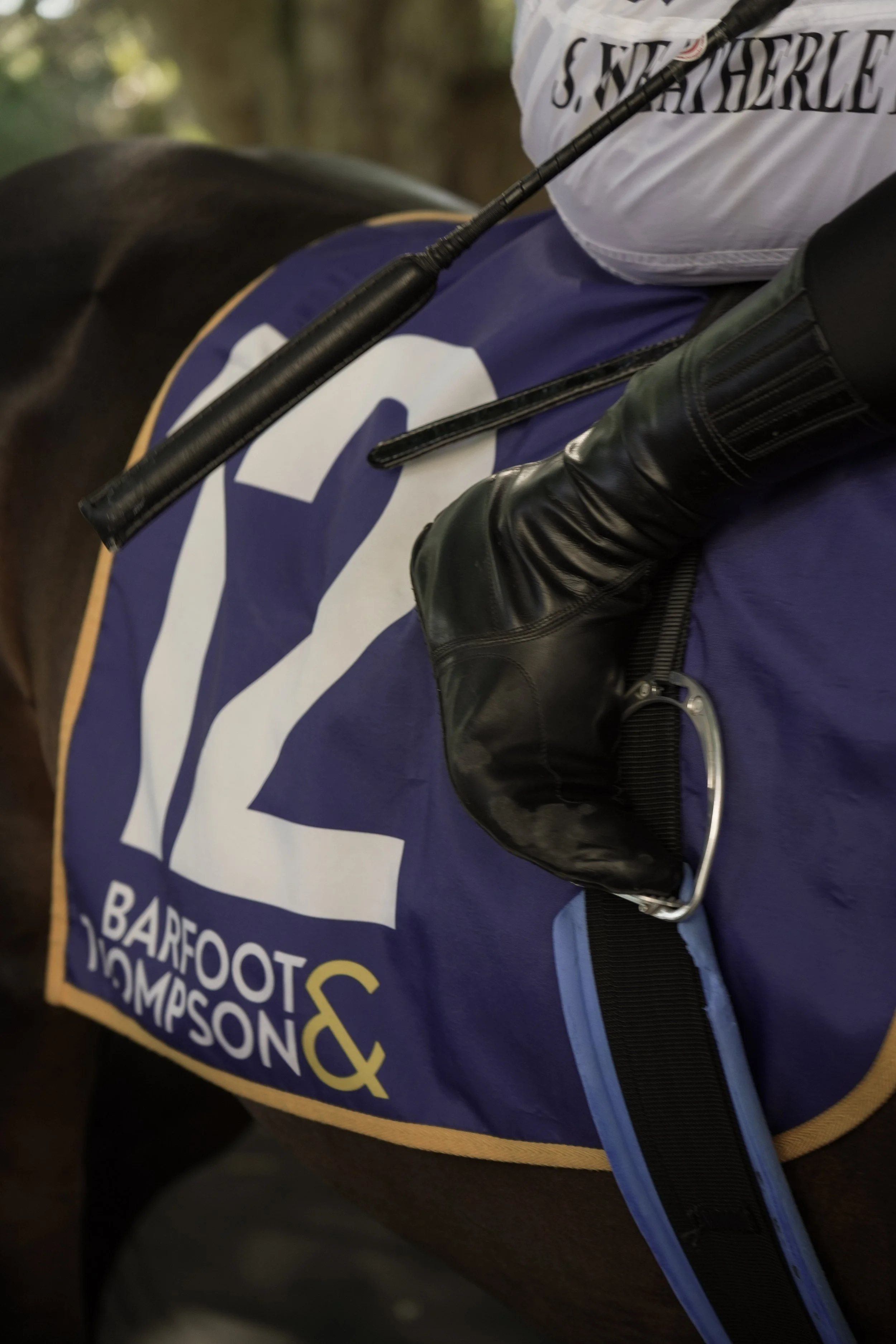 Close-up of a jockey's leg and saddlecloth on a horse, featuring the number 12 and the names 'Barfoot & Thompson', with a riding crop and black leather riding glove.