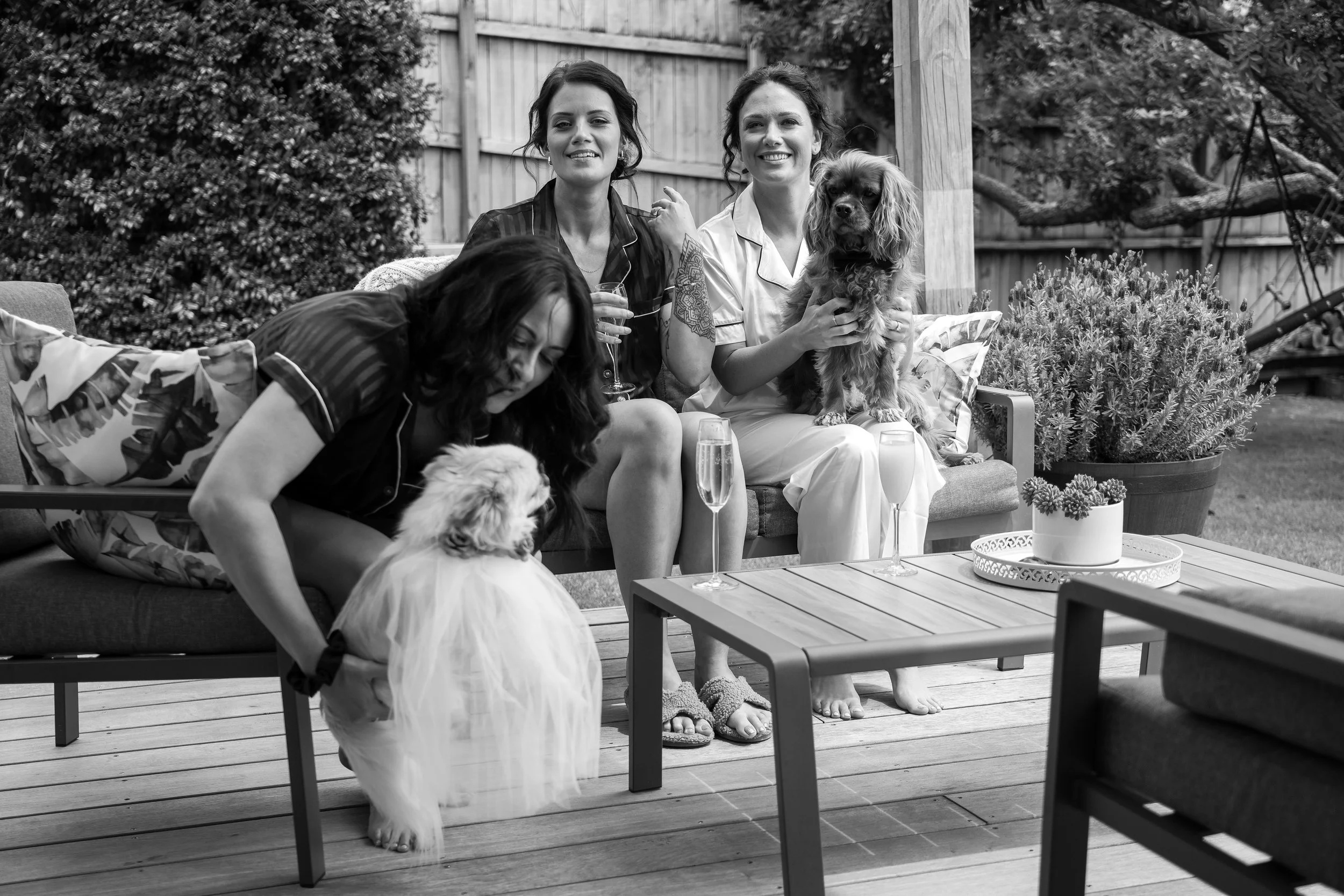 Three women with dogs sitting on an outdoor couch, with drinks on a table in front of them, in a backyard setting.