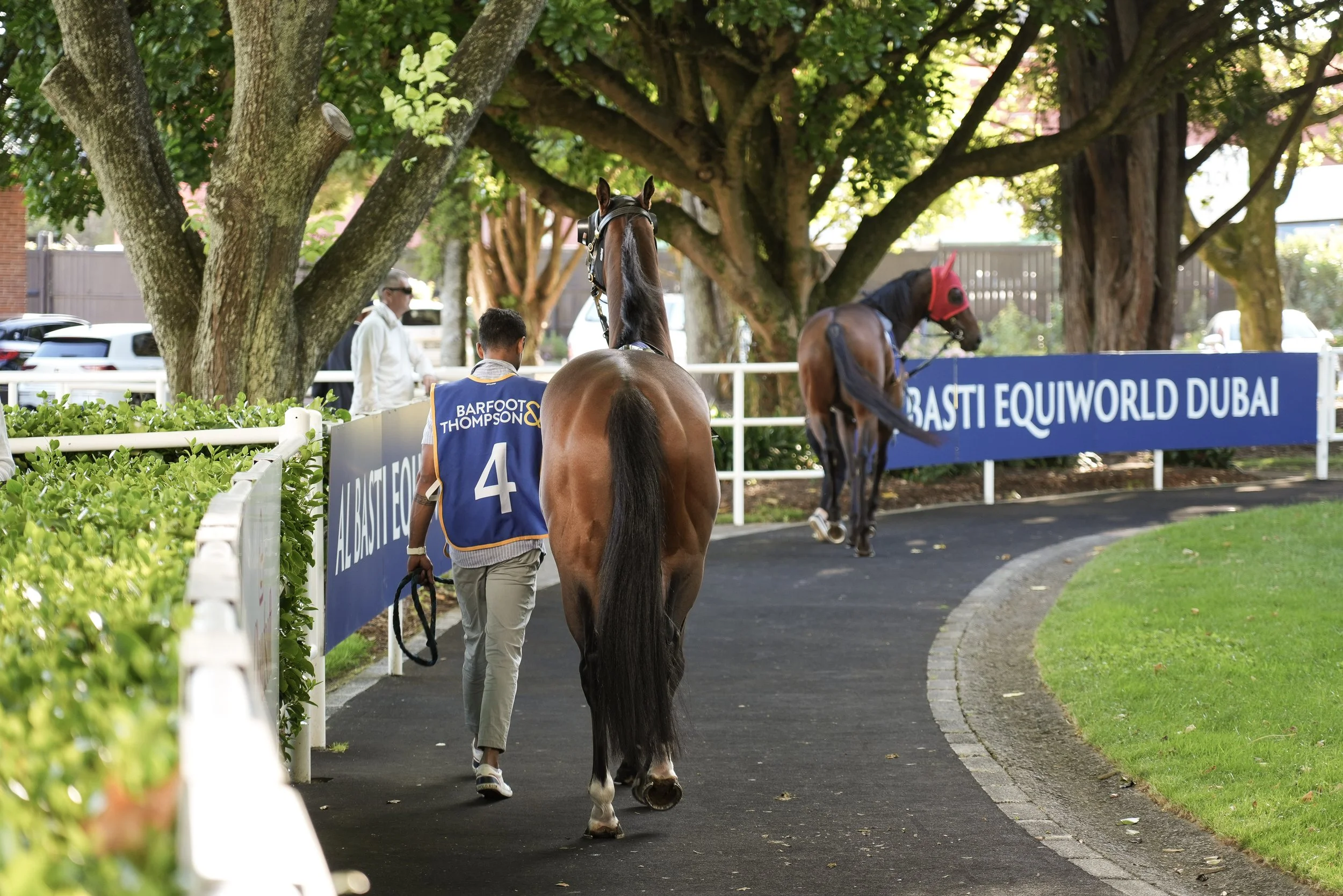 Two racehorses being led by handlers walking along a paved pathway, with trees and a blue banner advertising Abu Dhabi Equestrian Global Dubai in the background.