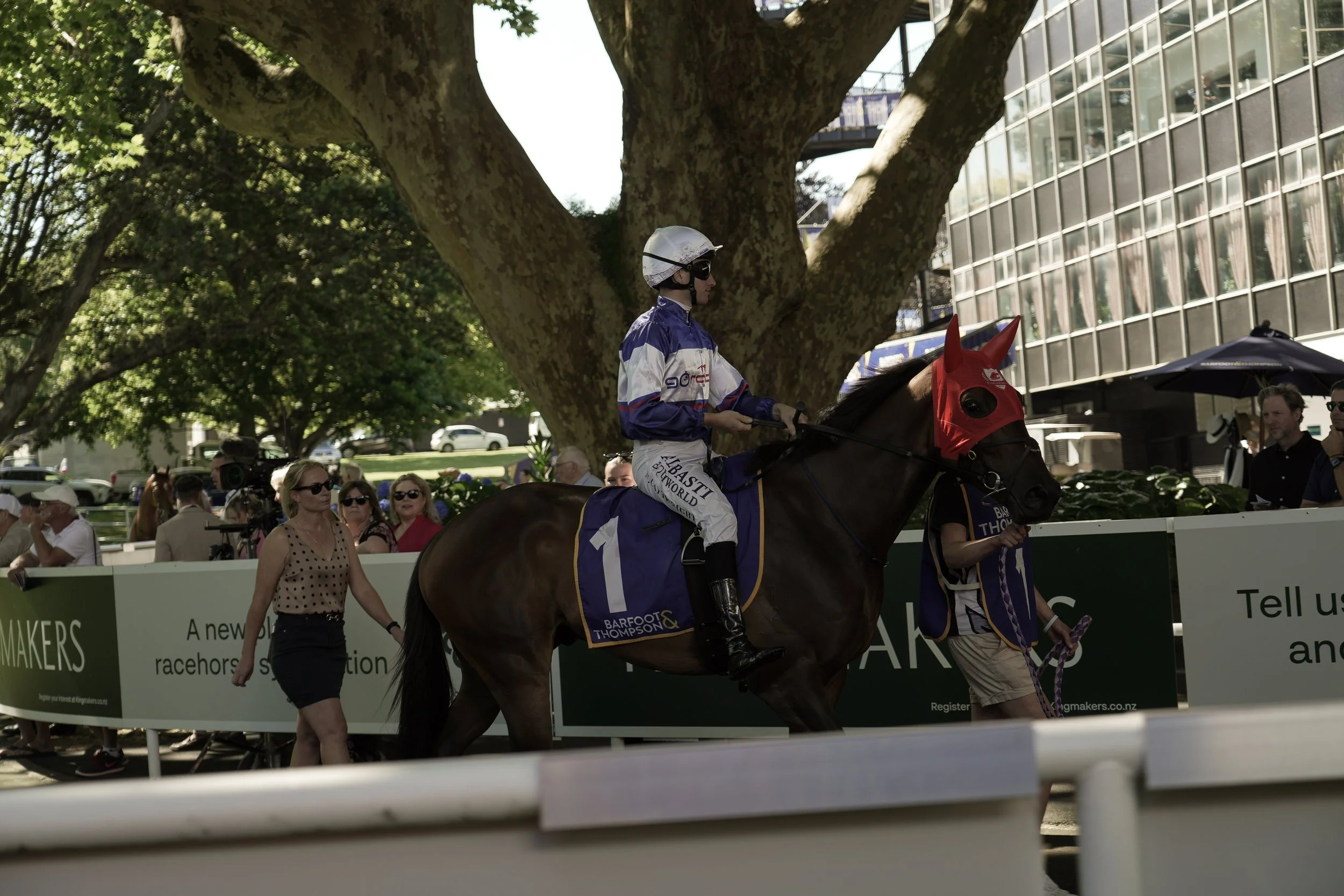 A jockey riding a horse at a racecourse, surrounded by spectators and officials, under a large tree with a modern building in the background.