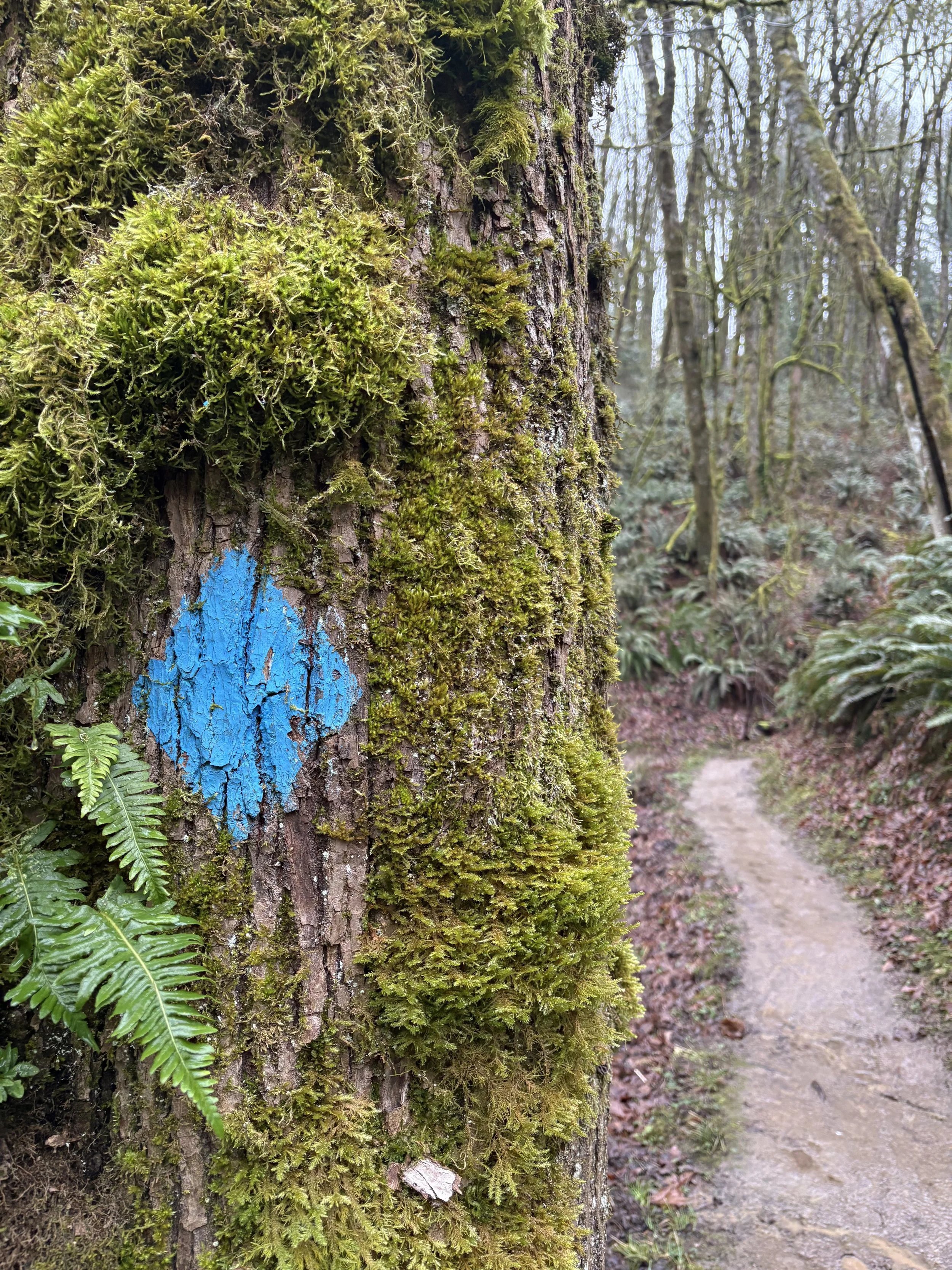 wildwood adventure days