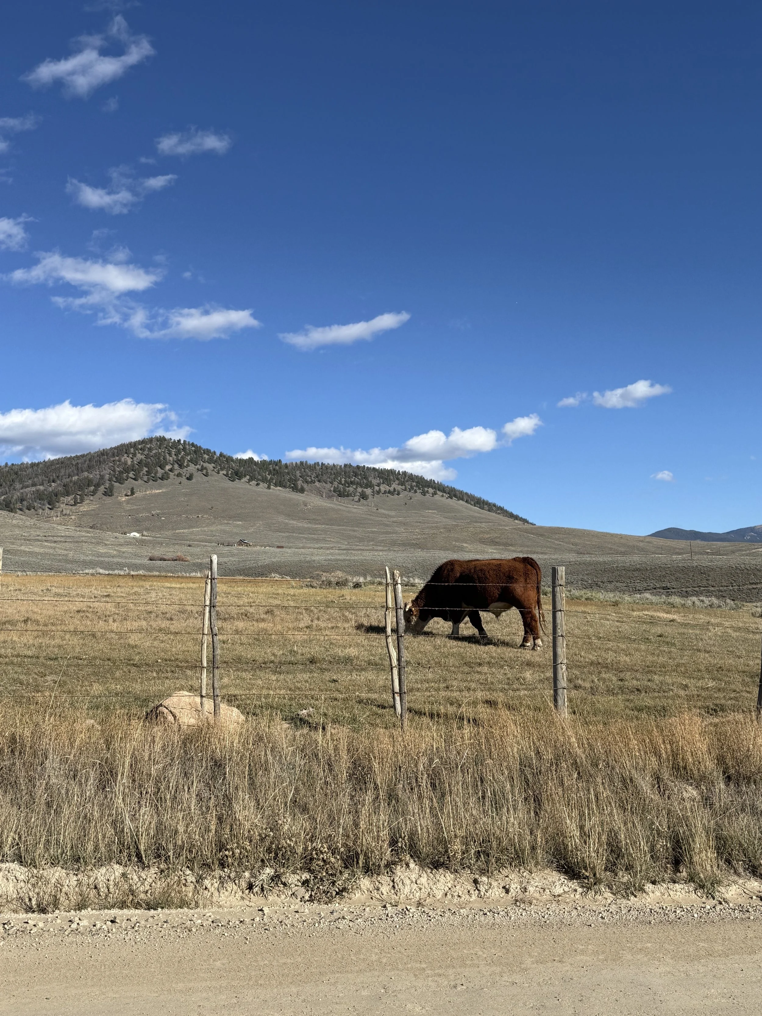 For life is more than