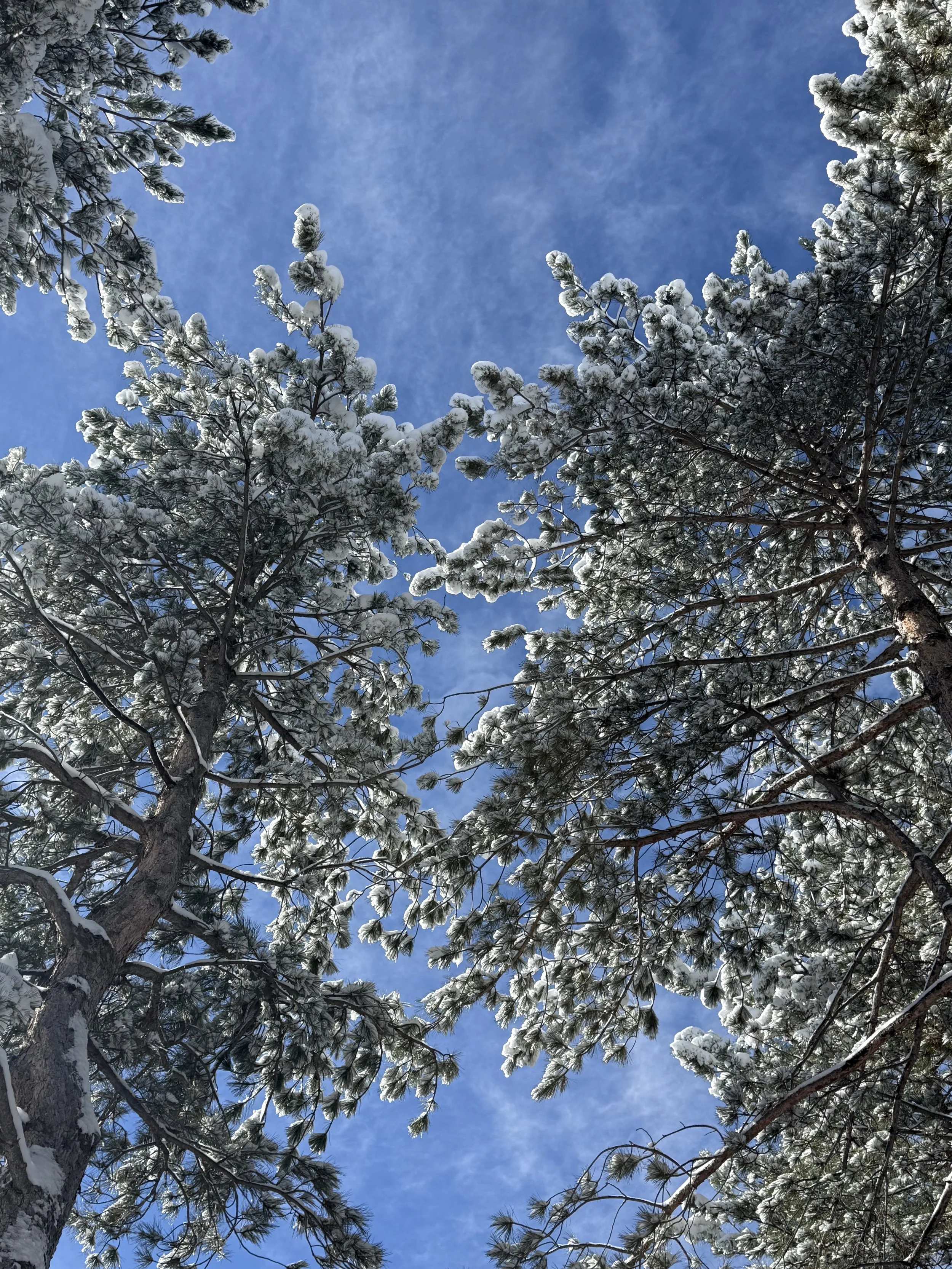 Straining forward to what lies ahead