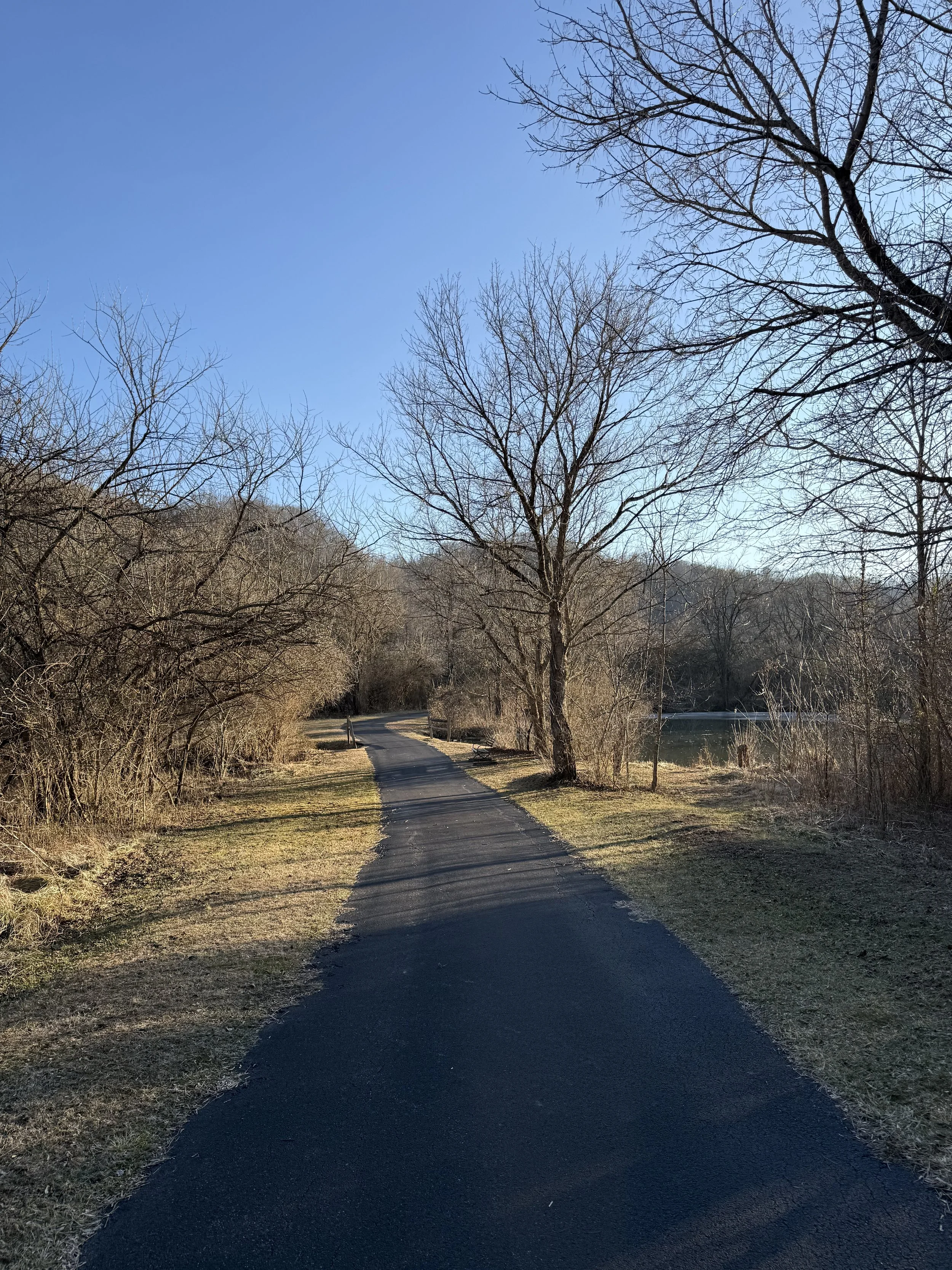 Genesis 15 + Psalm 11