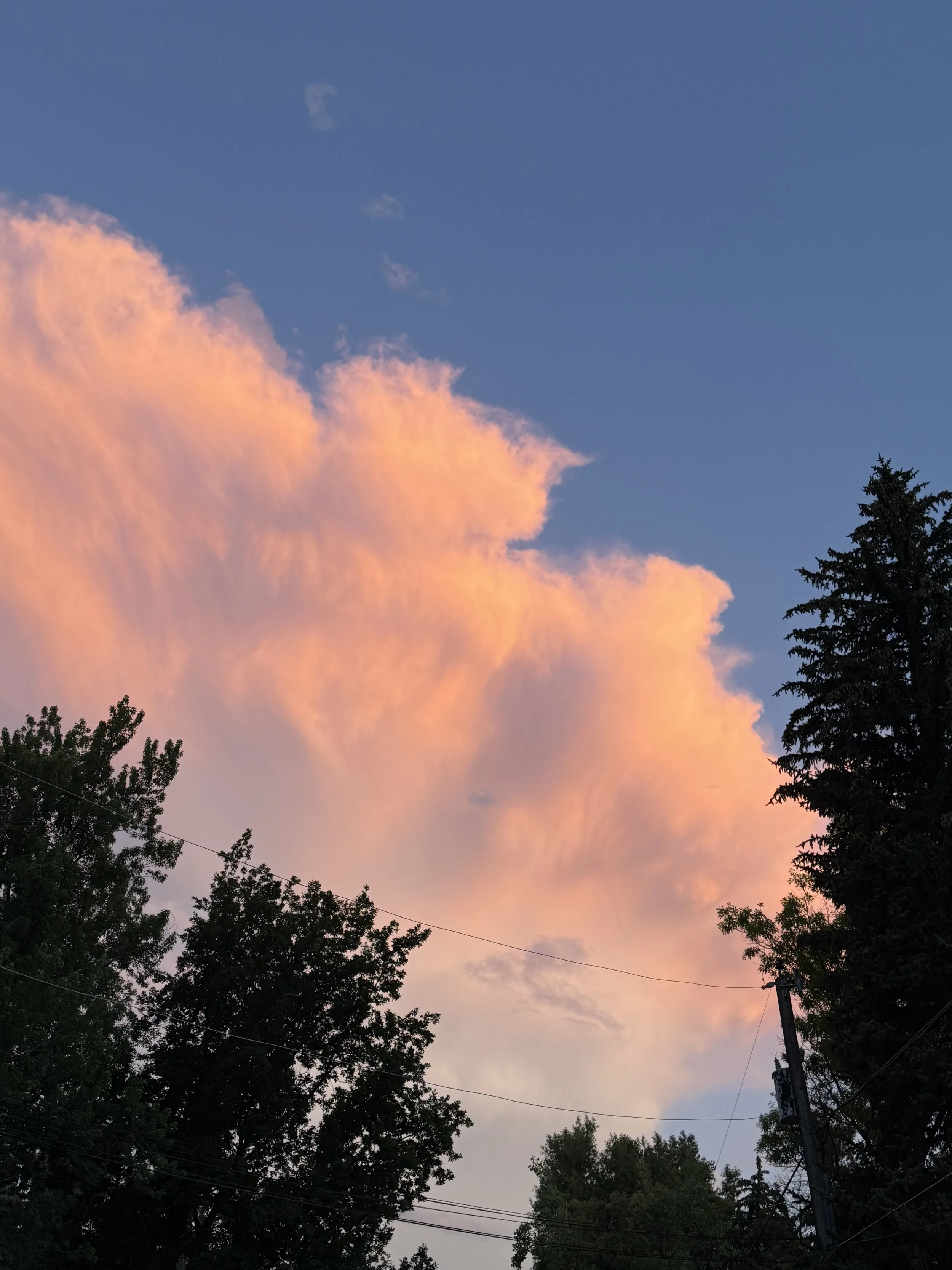 Genesis 20 + Psalm 16