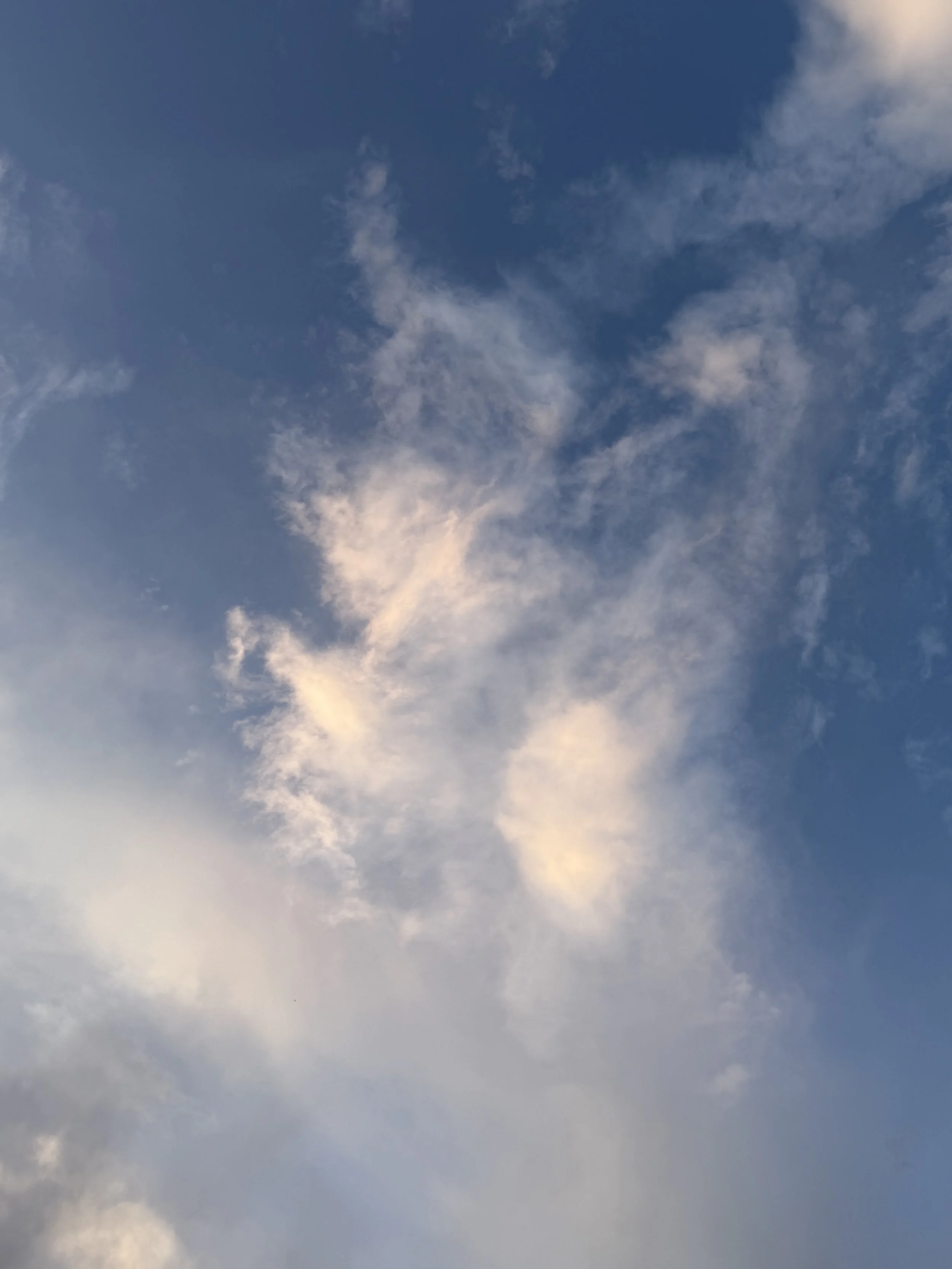 Genesis 22 + Psalm 18