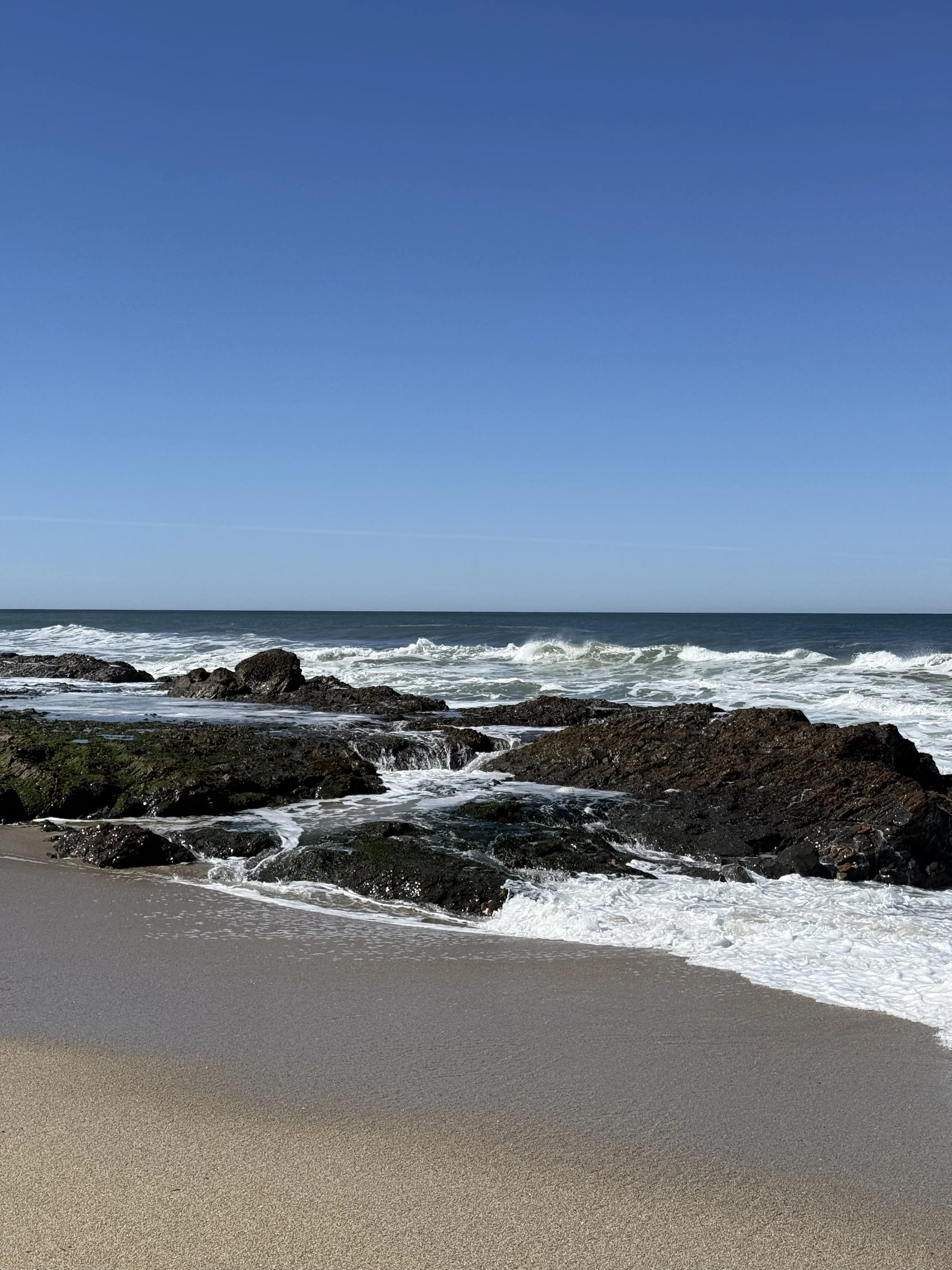 Genesis 45 + Psalm 37