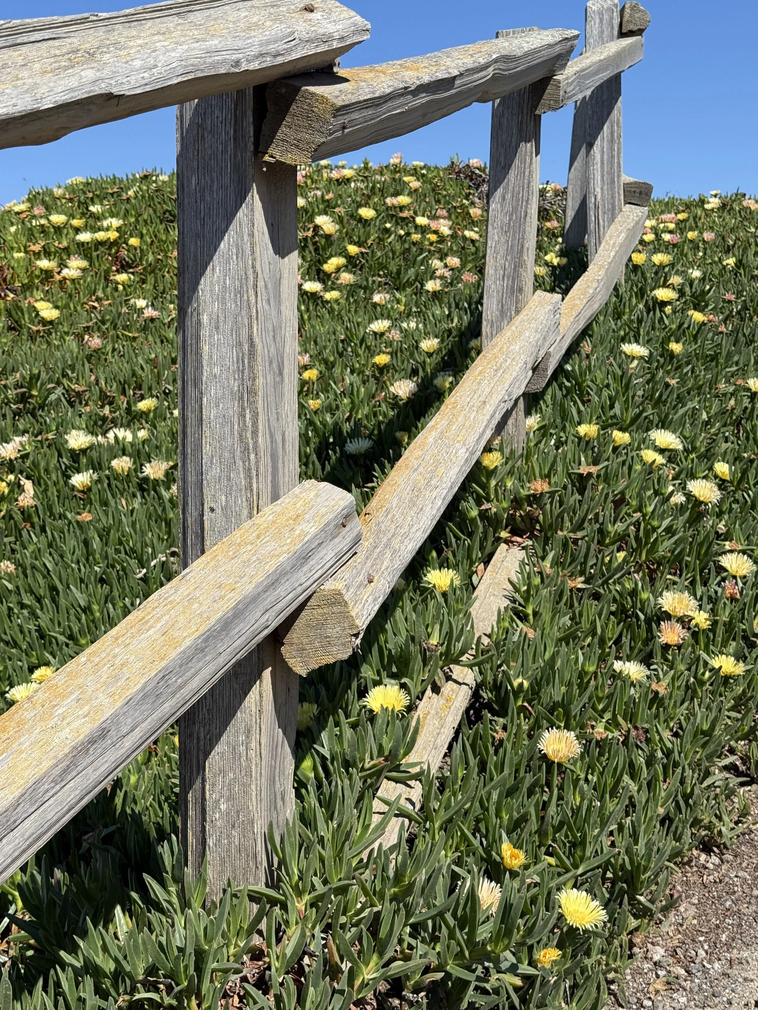 Genesis 46 + Psalm 38