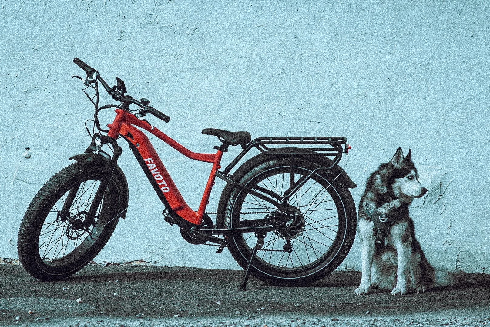 Red electric bicycle and Siberian Husky dog sitting on the ground against a textured white wall.