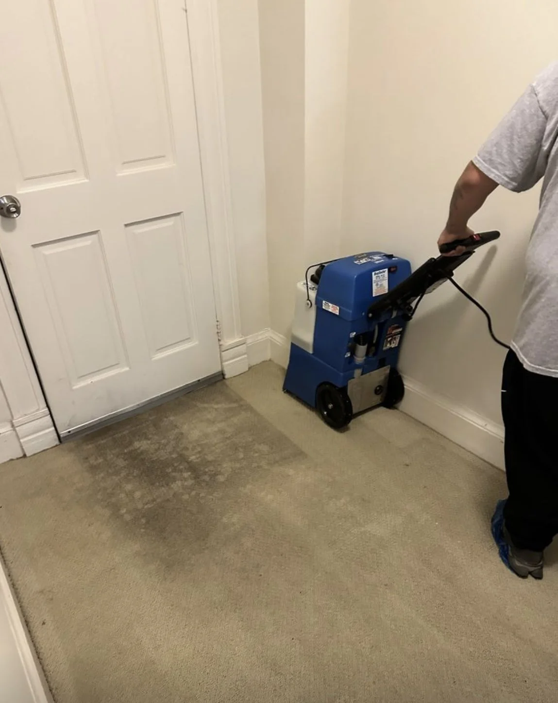 Add-On Carpet Cleaning Services 