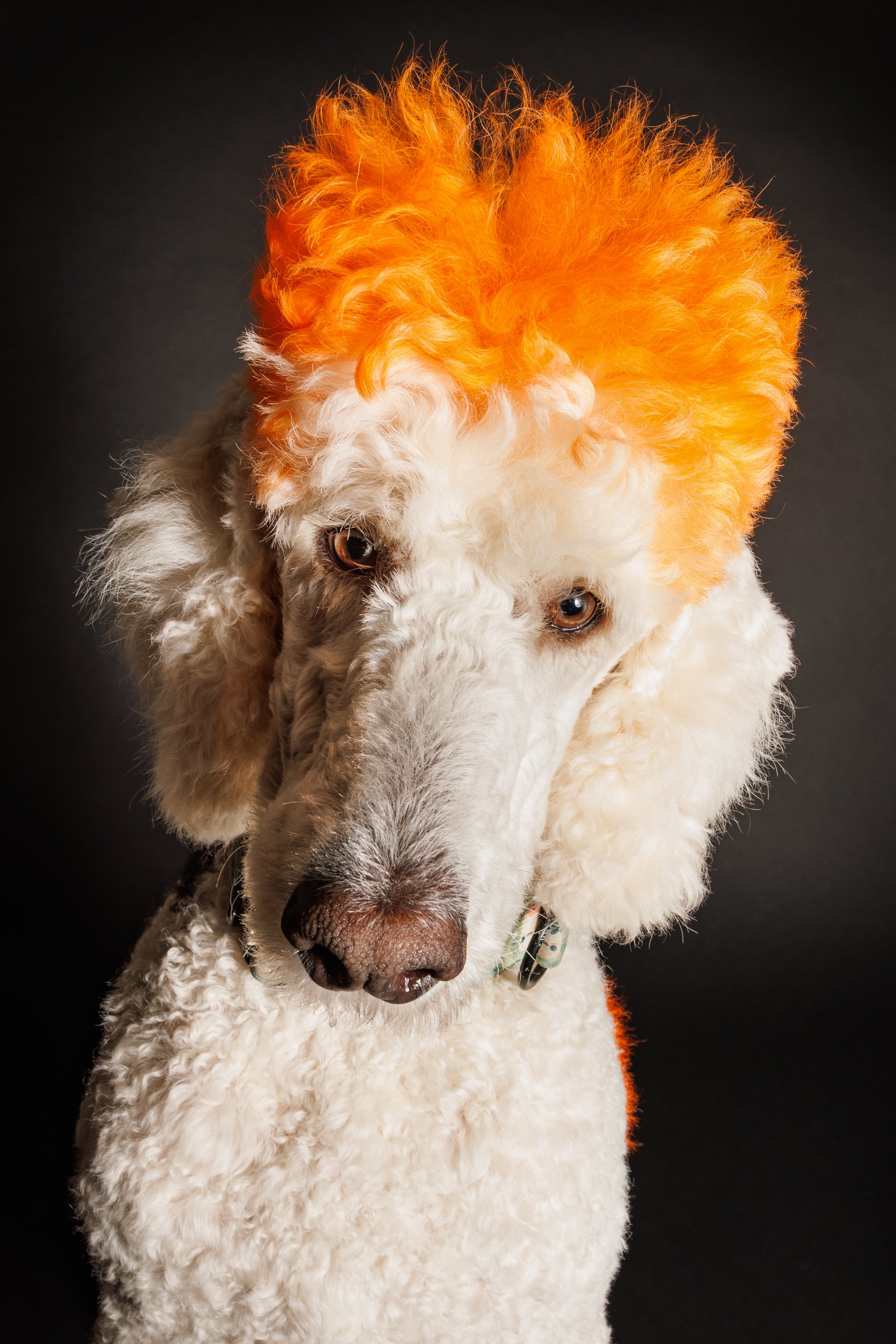 Close-Up and Dramatic