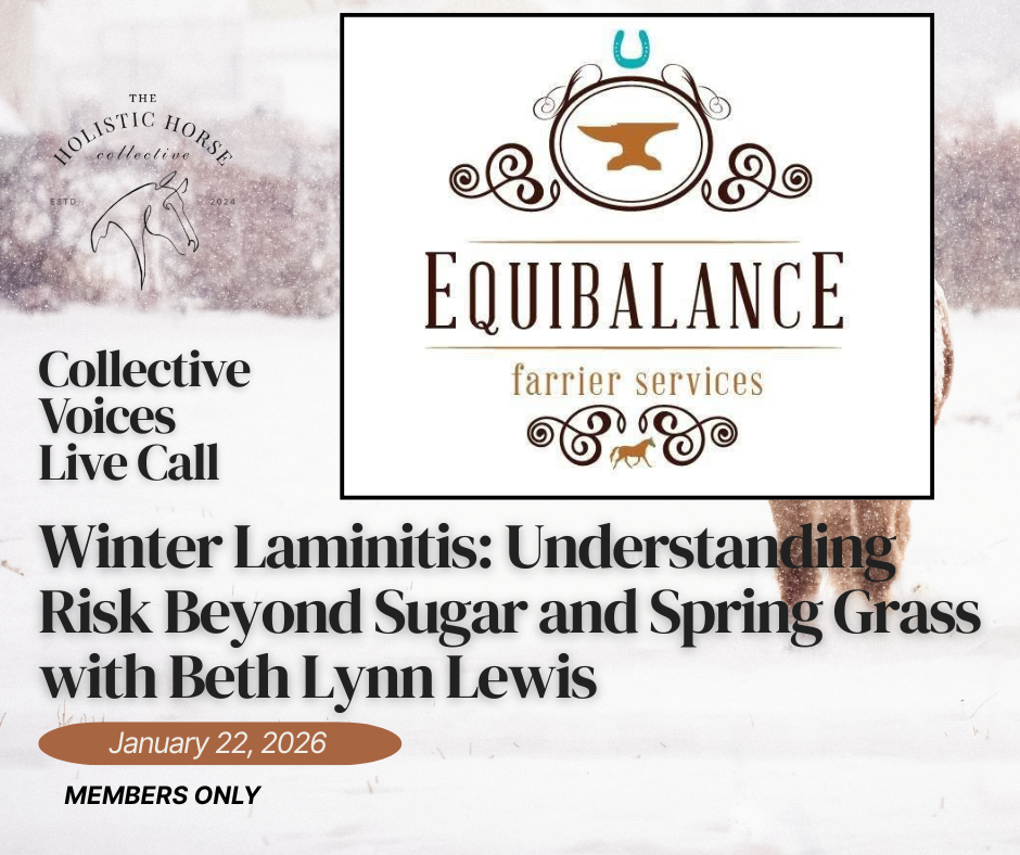 An event flyer for Equibalance Farrier Services featuring a talk titled "Winter Laminitis: Understanding Risk Beyond Sugar and Spring Grass" with Beth Lynn Lewis, scheduled for January 22, 2026, exclusive for members, with a background image of a horse walking through snow, and logos of The Holistic Horse Collective and Equibalance.