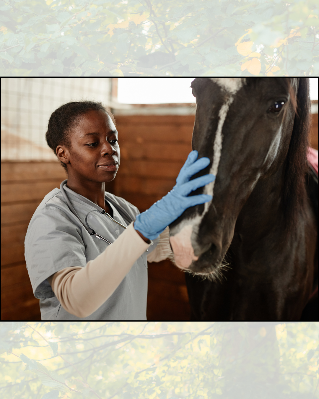 What’s a “solid” deworming protocol?