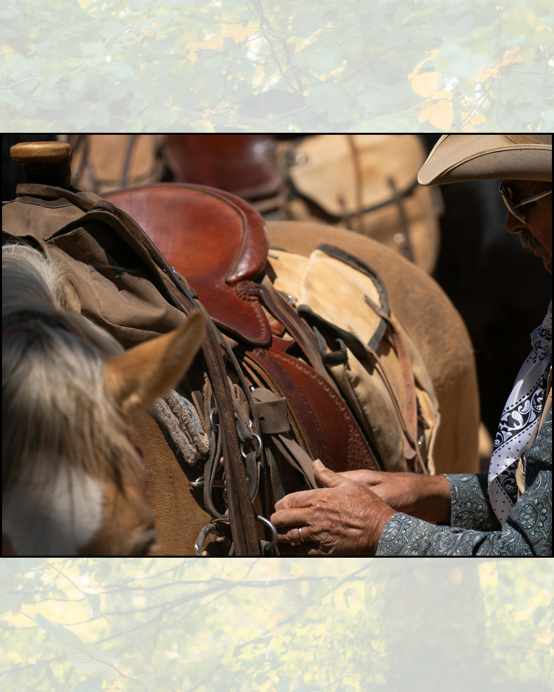 How often should I clean and inspect my tack?