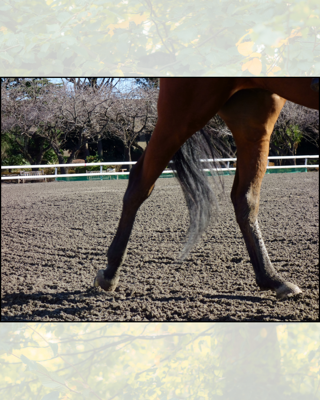 Why does terrain matter so much?