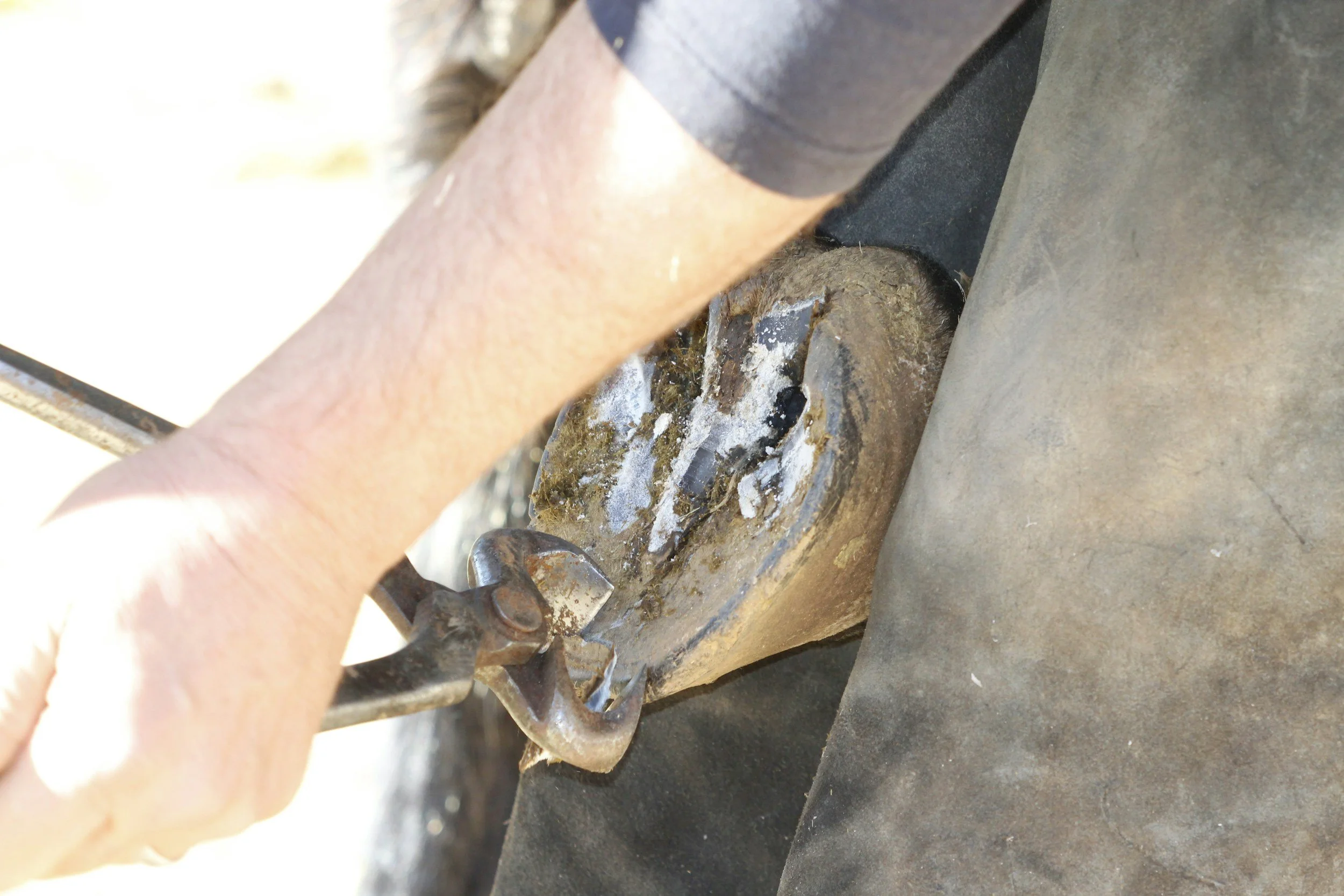 My horse struggles to stand for the farrier - how can I help?