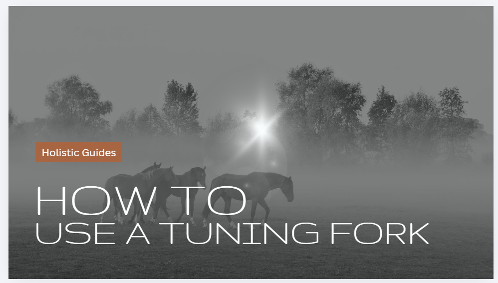 From The Field: How to use tuning forks in your equine healing practice