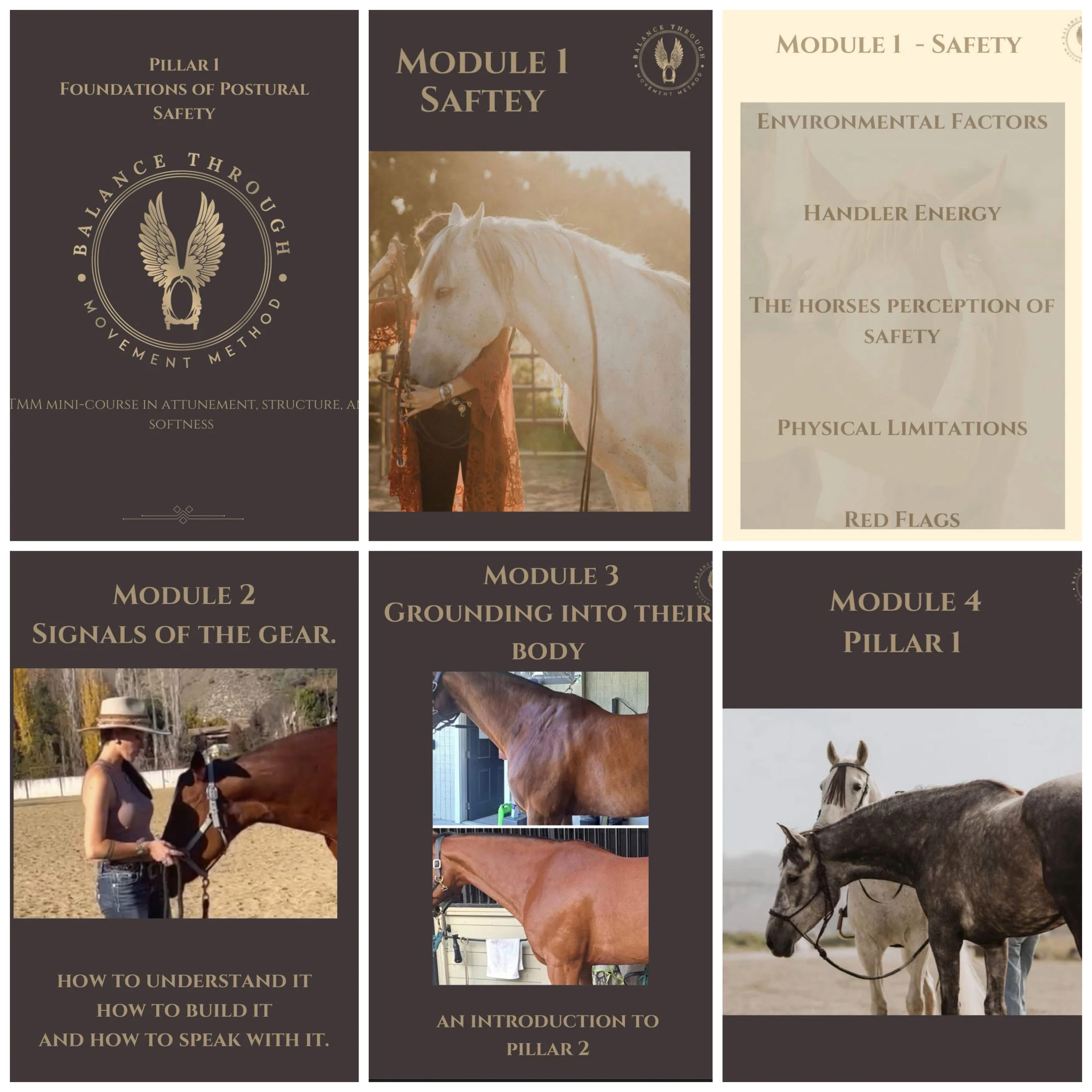 Foundations of Pillar 1 (BTMM): Free Access