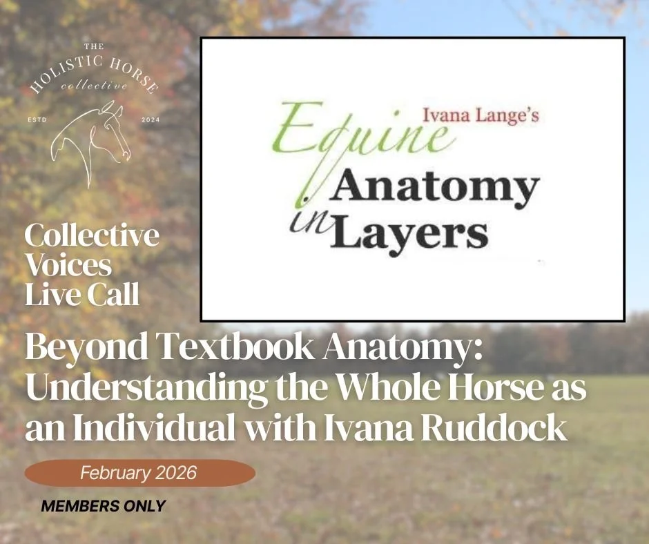Digital flyer for a live online event titled 'Beyond Textbook Anatomy: Understanding the Whole Horse as an Individual with Ivana Ruddock,' scheduled for February 2026, hosted by the Holistic Horse Collective, with a background of blurred autumn trees.