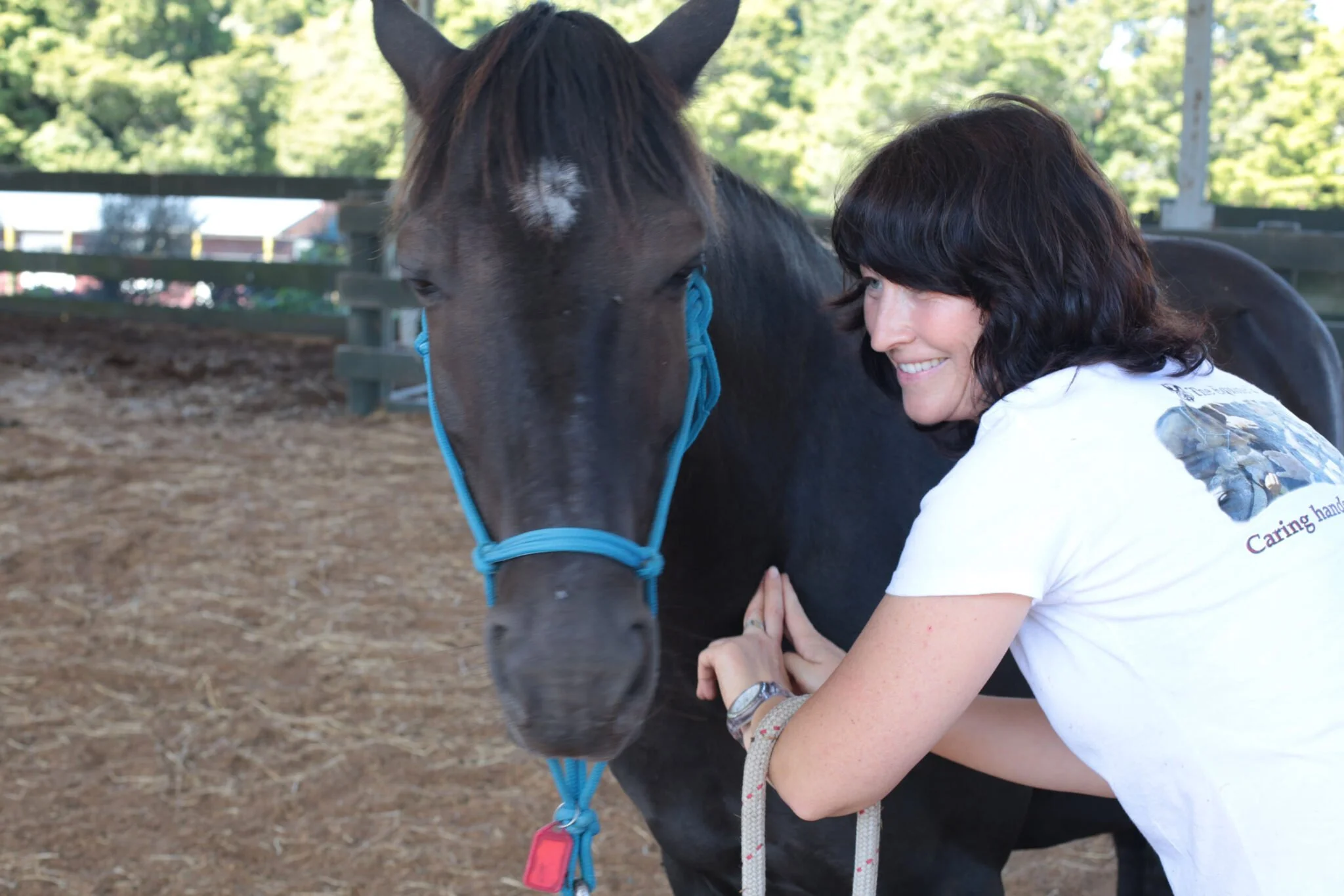 A woman with dark, curly hair and a white t-shirt smiling while petting a brown horse with a blue halter at an outdoor stable.