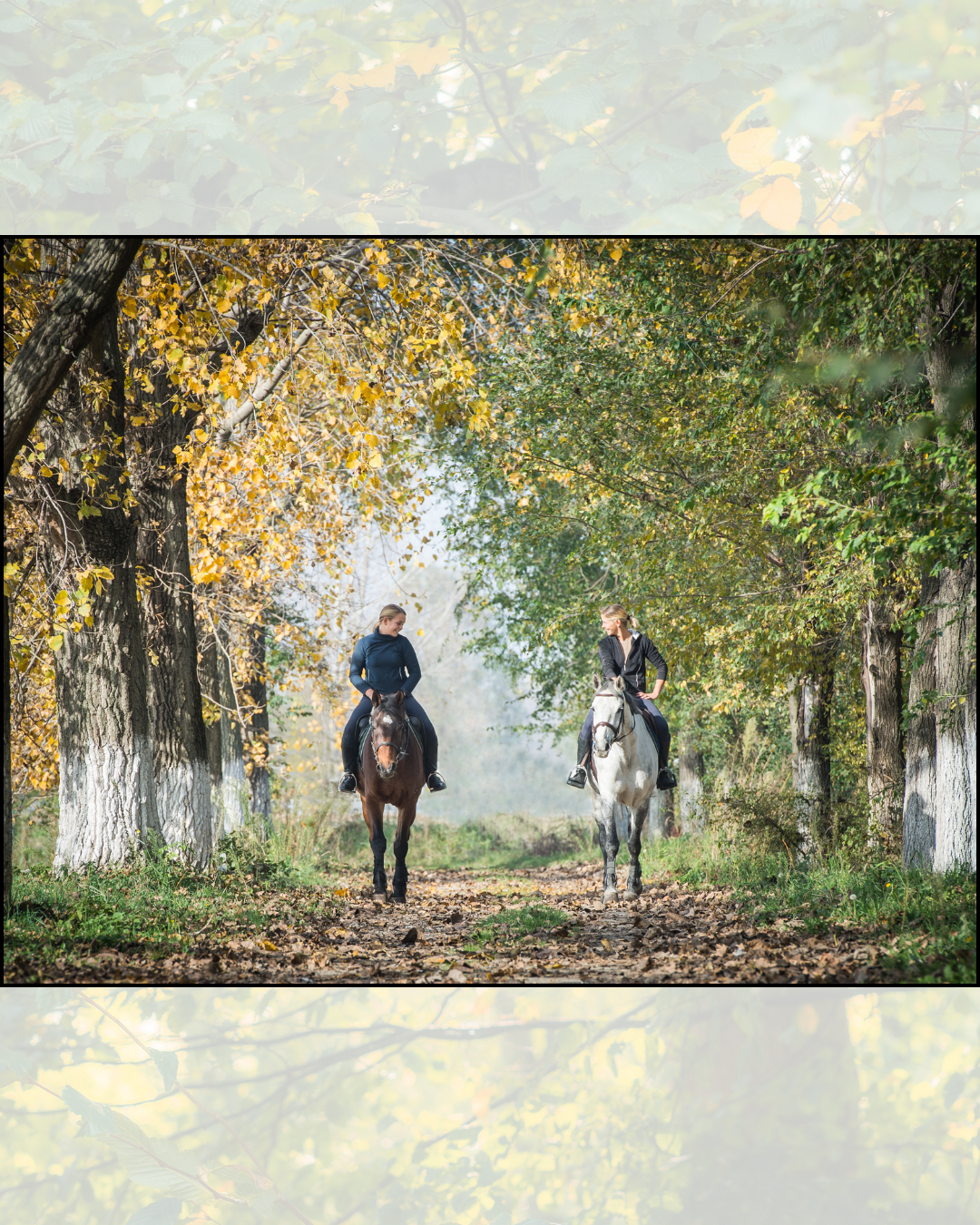 Two women riding horses through a wooded trail with fall foliage.
