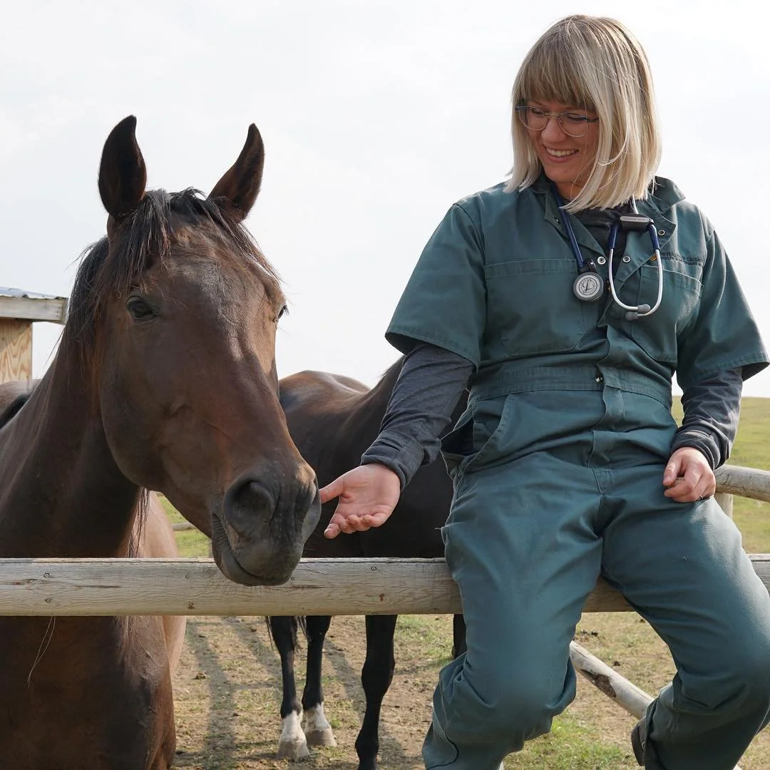 Veterinarian in teal scrubs petting a brown horse on its nose, with a grassy field and cloudy sky in the background.
