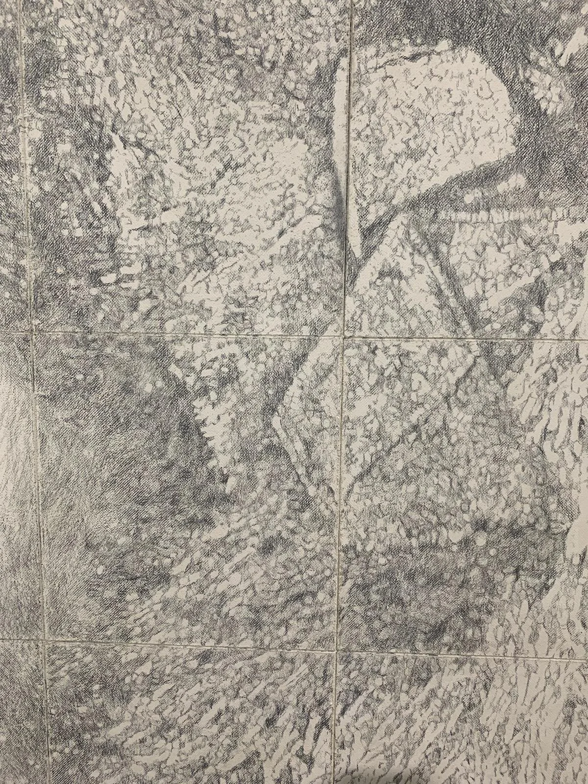 PHOTO-2025-06-02-10-12-27 3.jpeg