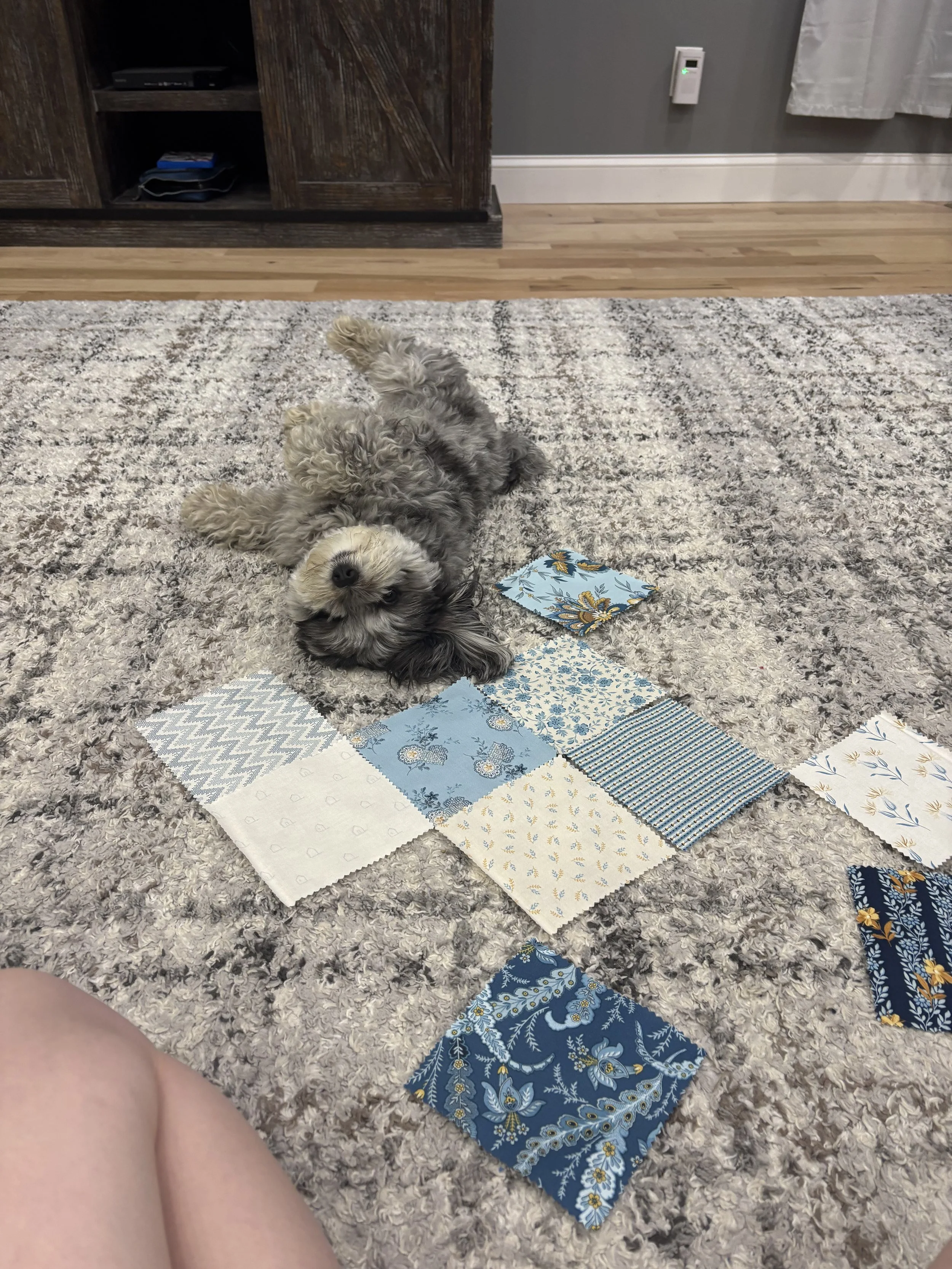 Nessie, our small dog, laying on the floor next to several fabric squares.