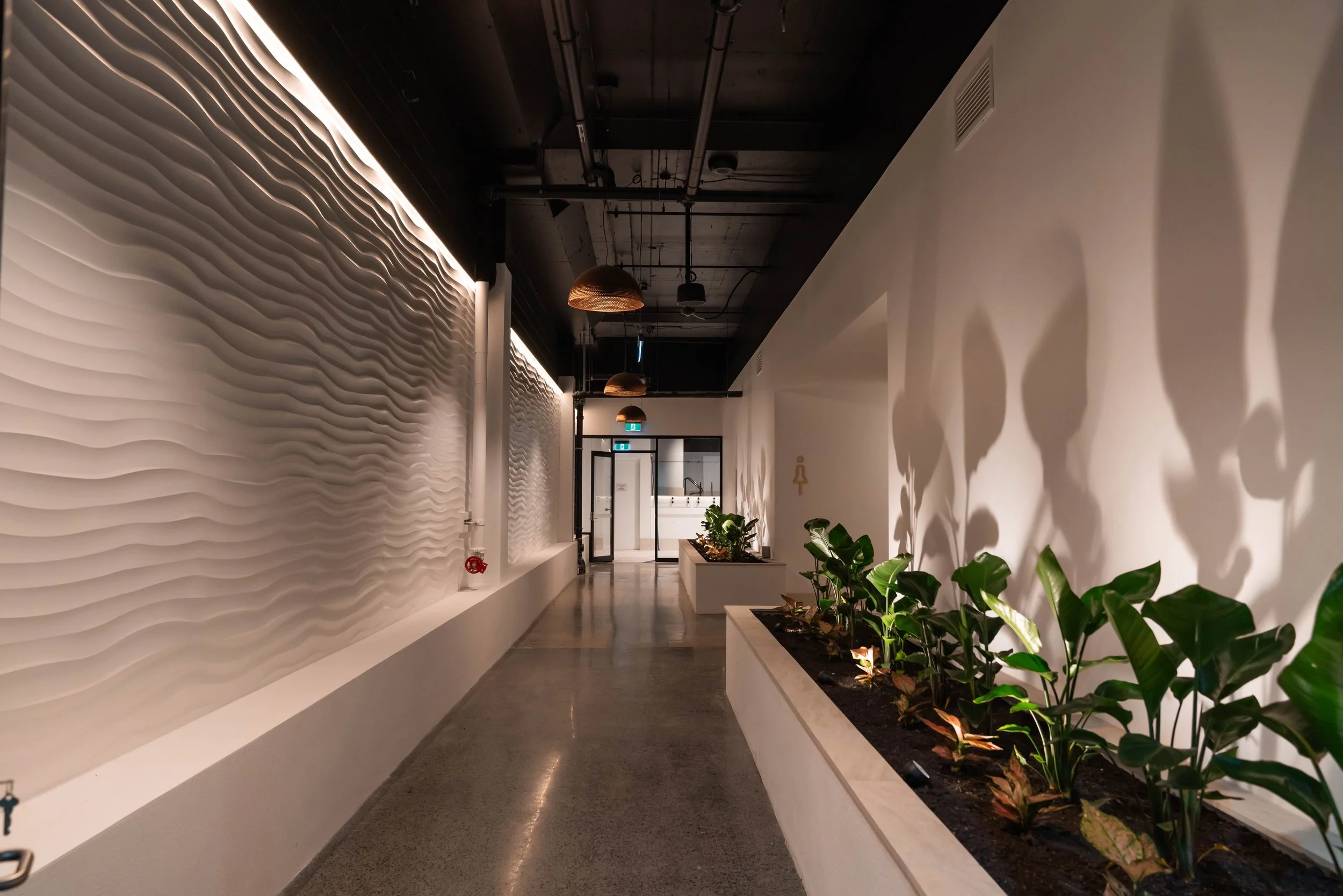 Modern interior hallway leading to a recovery centre with textured white wall, potted plants in a white planter, and hanging ceiling lights.