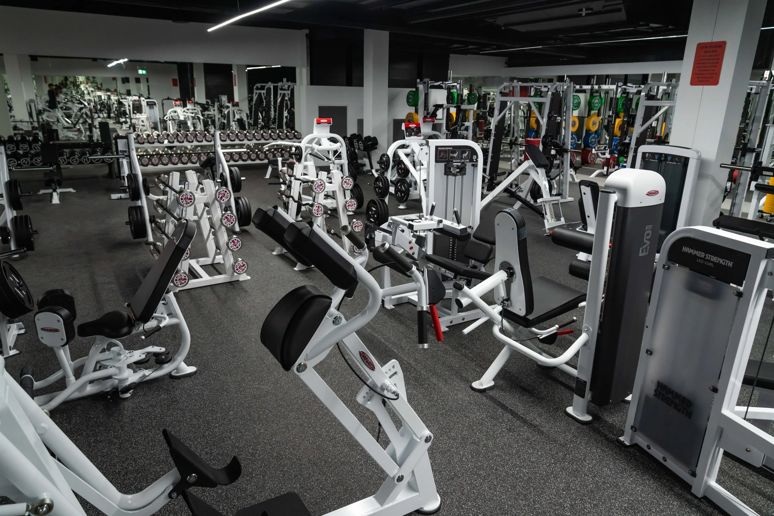 gym with various white workout equipment including weight machines, benches, and free weights, in a spacious fitness center.
