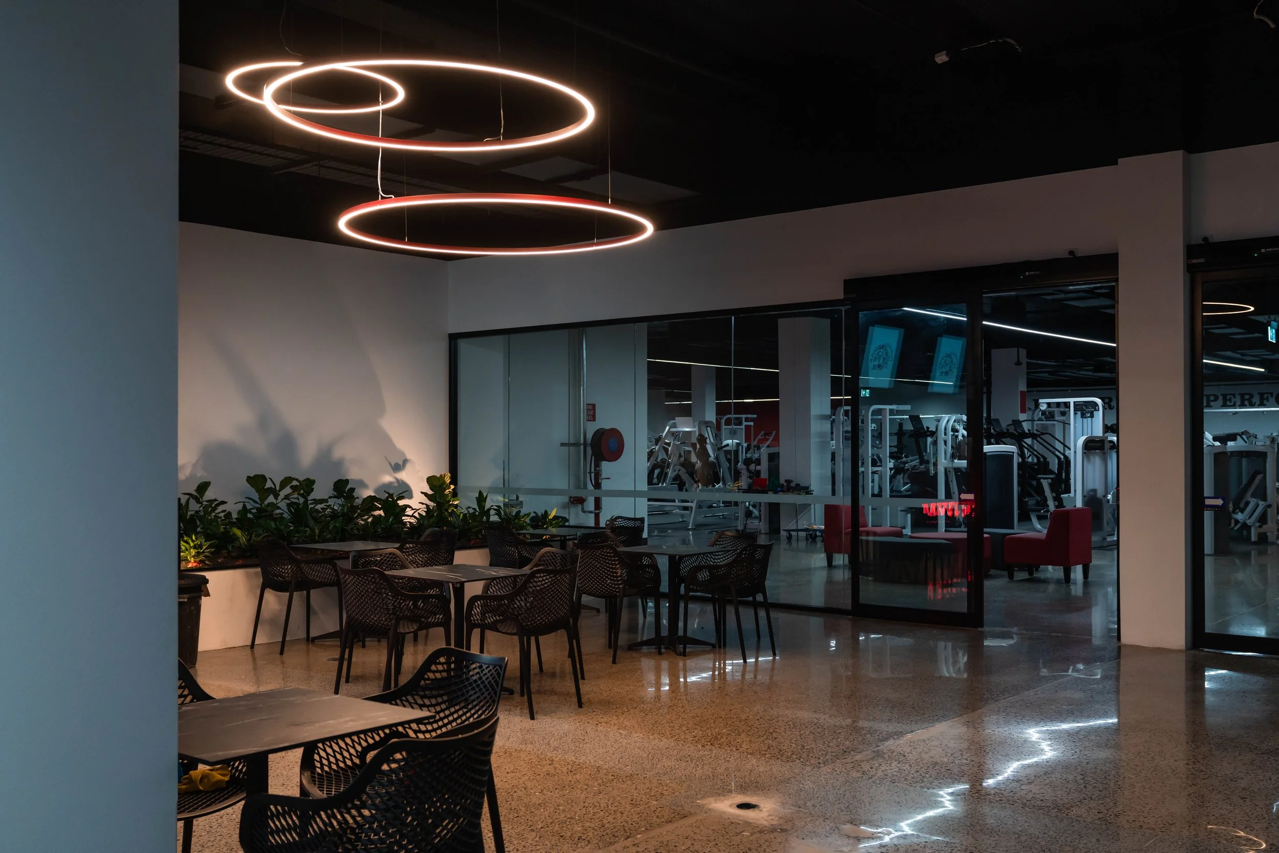 reception area with black chairs and tables, green plants along the wall, modern lighting fixtures on the ceiling, and a glass wall revealing a gym with workout equipment inside.
