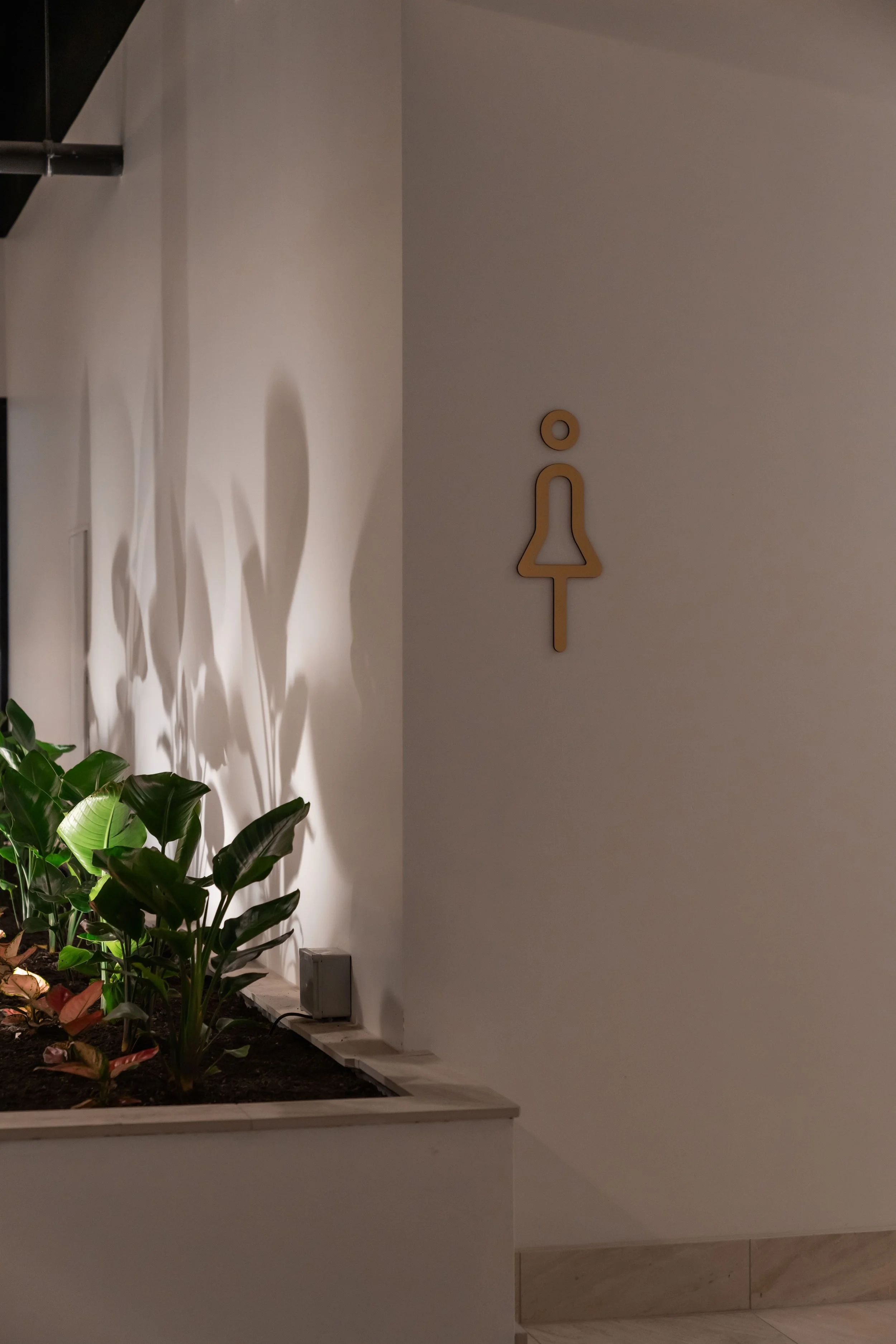 A white wall in a modern restroom area with a gold gender-neutral restroom sign and a small indoor plant with shadow effects.
