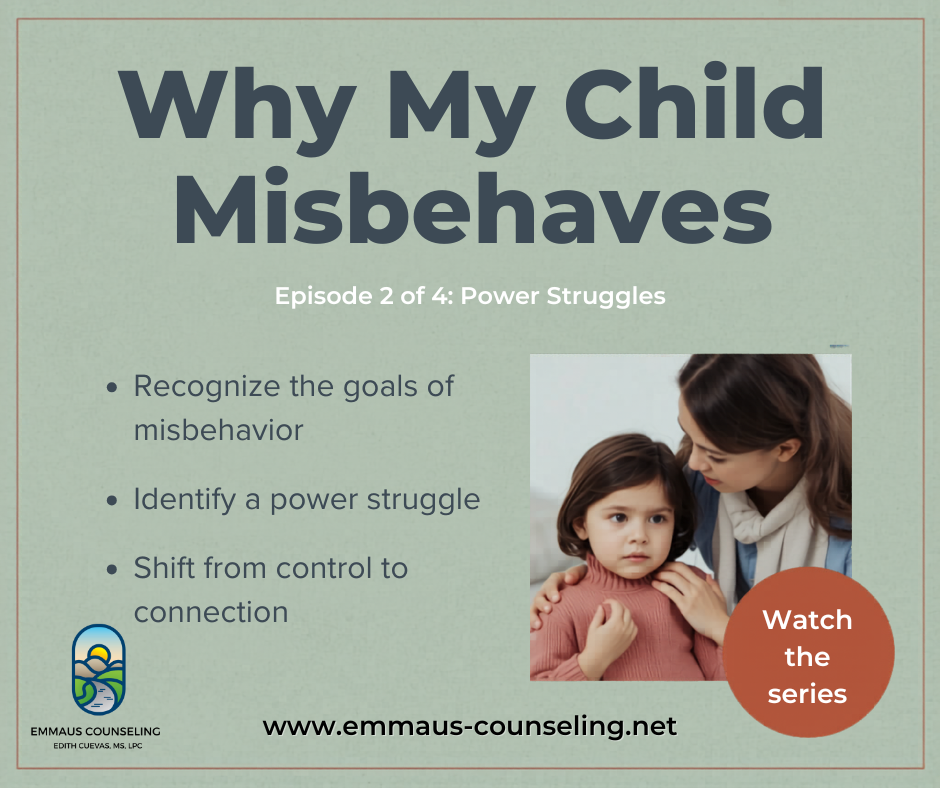 Why Does My Child Misbehave - Goal #2