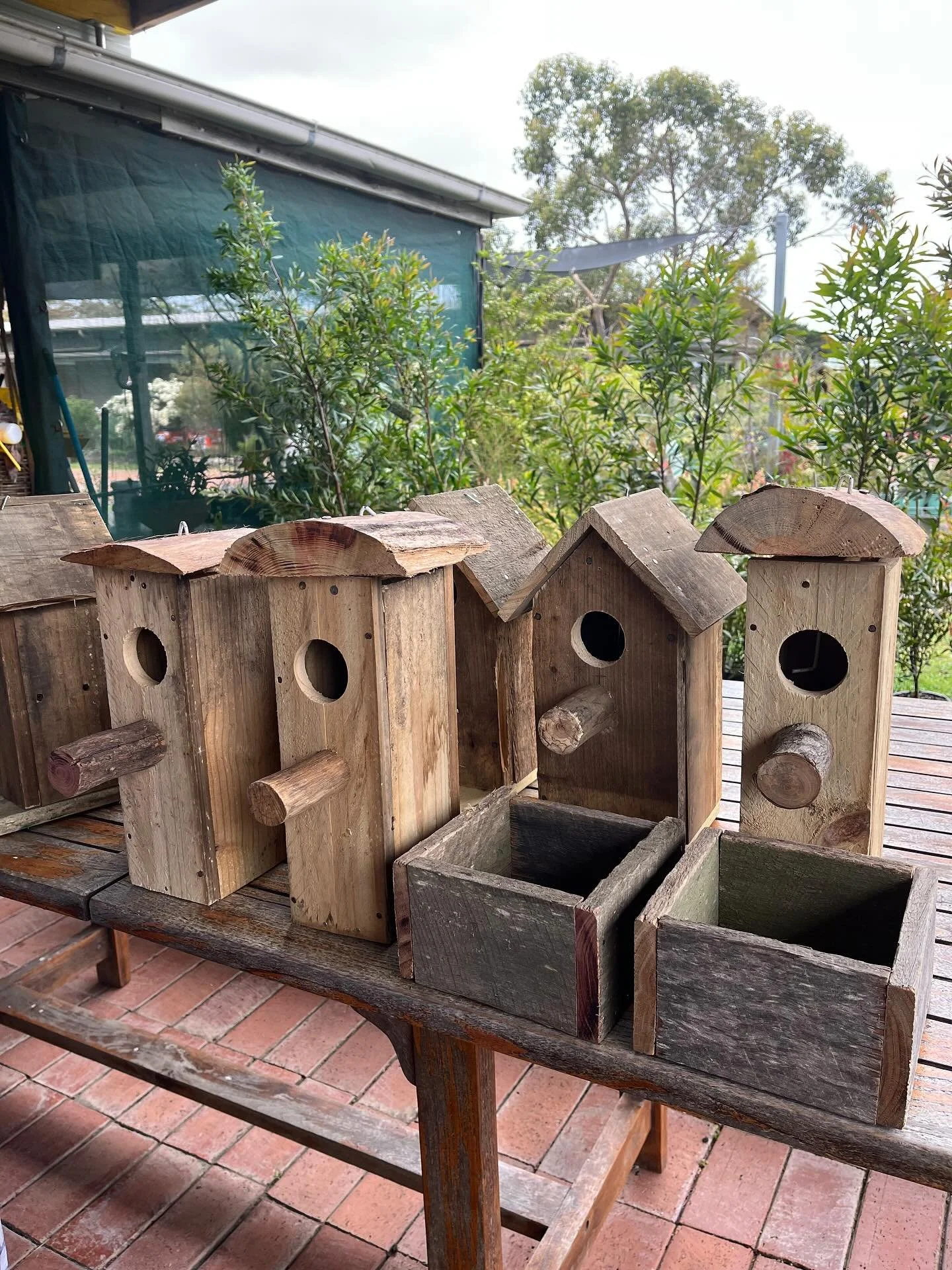 These wonderful bird and bee houses are made by Robert Ross. Robert travels all the way from the Blue Mountains by train to deliver them to Harvest, which we greatly appreciate. They are sustainably crafted using natural, recycled wood. Come in and c