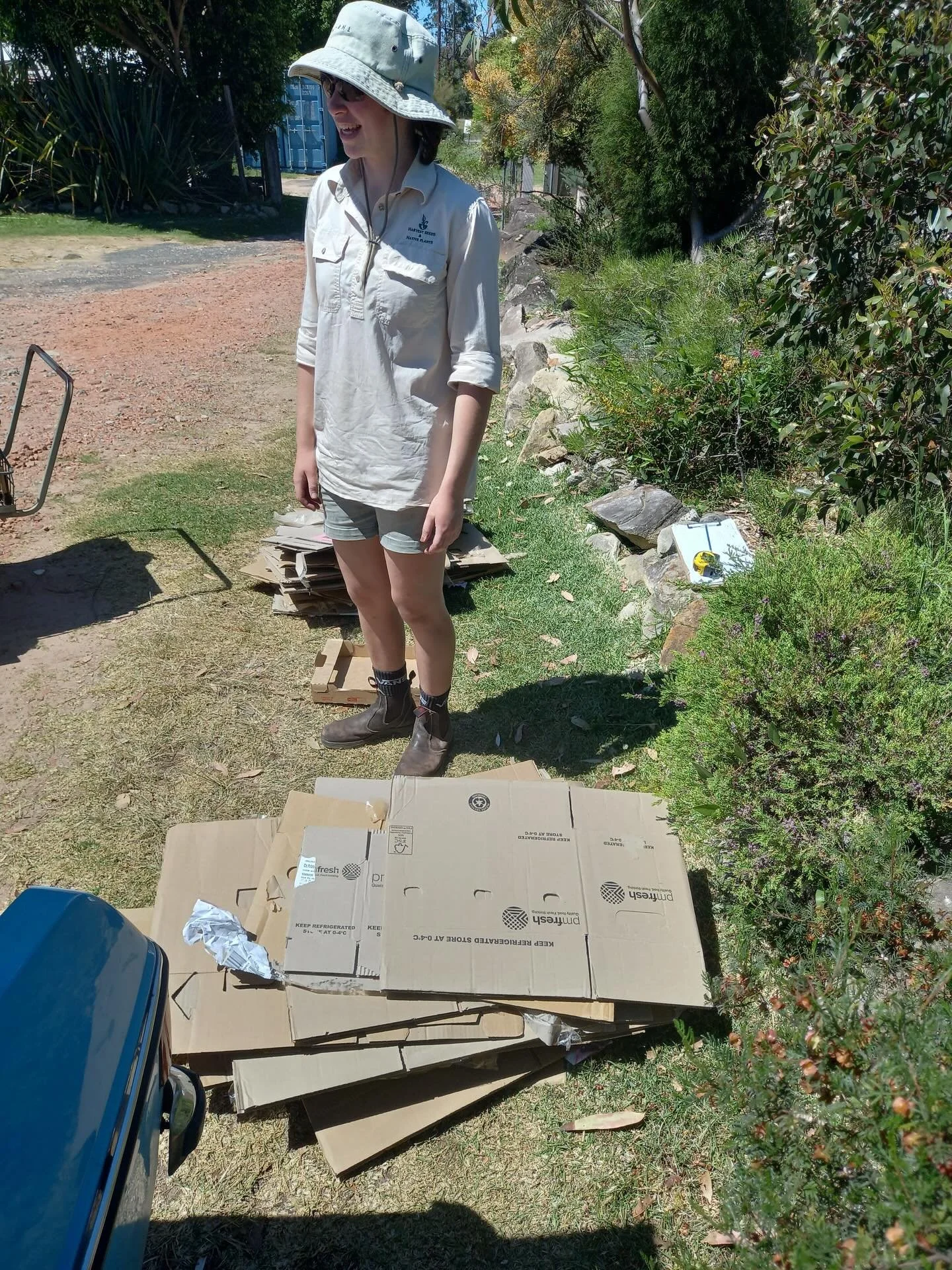 A very big thank you is extended to Peter Staff for his initiative in bringing Harvest used boxes specifically for our retail customers. This thoughtful gesture allows customers to conveniently take away the plants they have purchased, ensuring both
