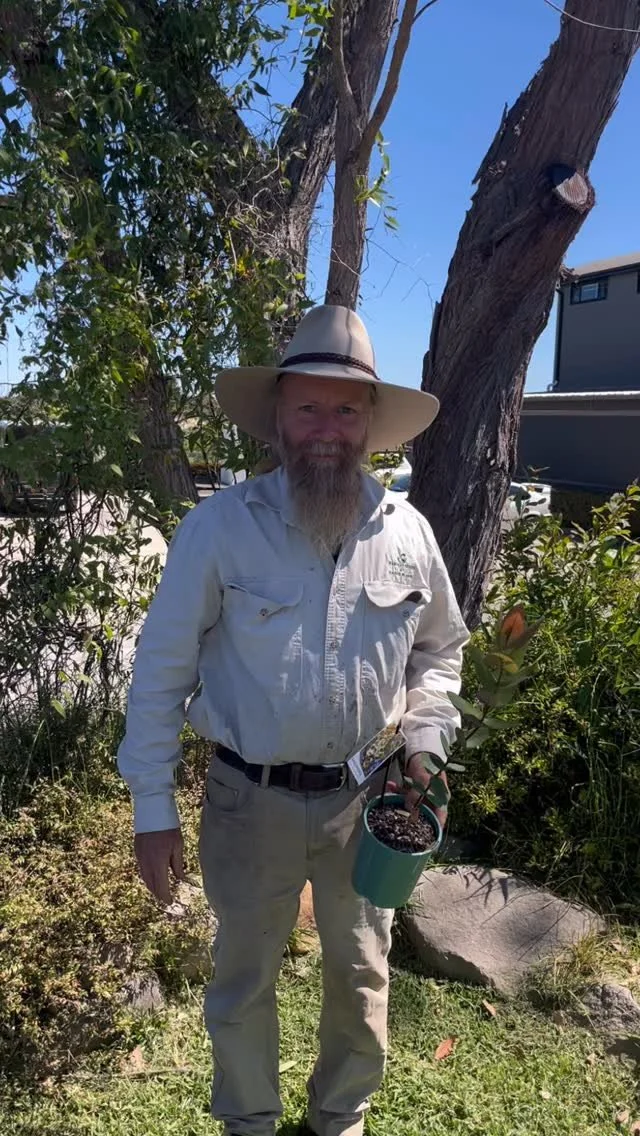 Come along to our ‘Exploring Eucalyptus’ Education session on Saturday 8th November
from 8am-9am to learn all about Eucalyptus!
Tickets available via link in bio or just give us a call on 9450 2699