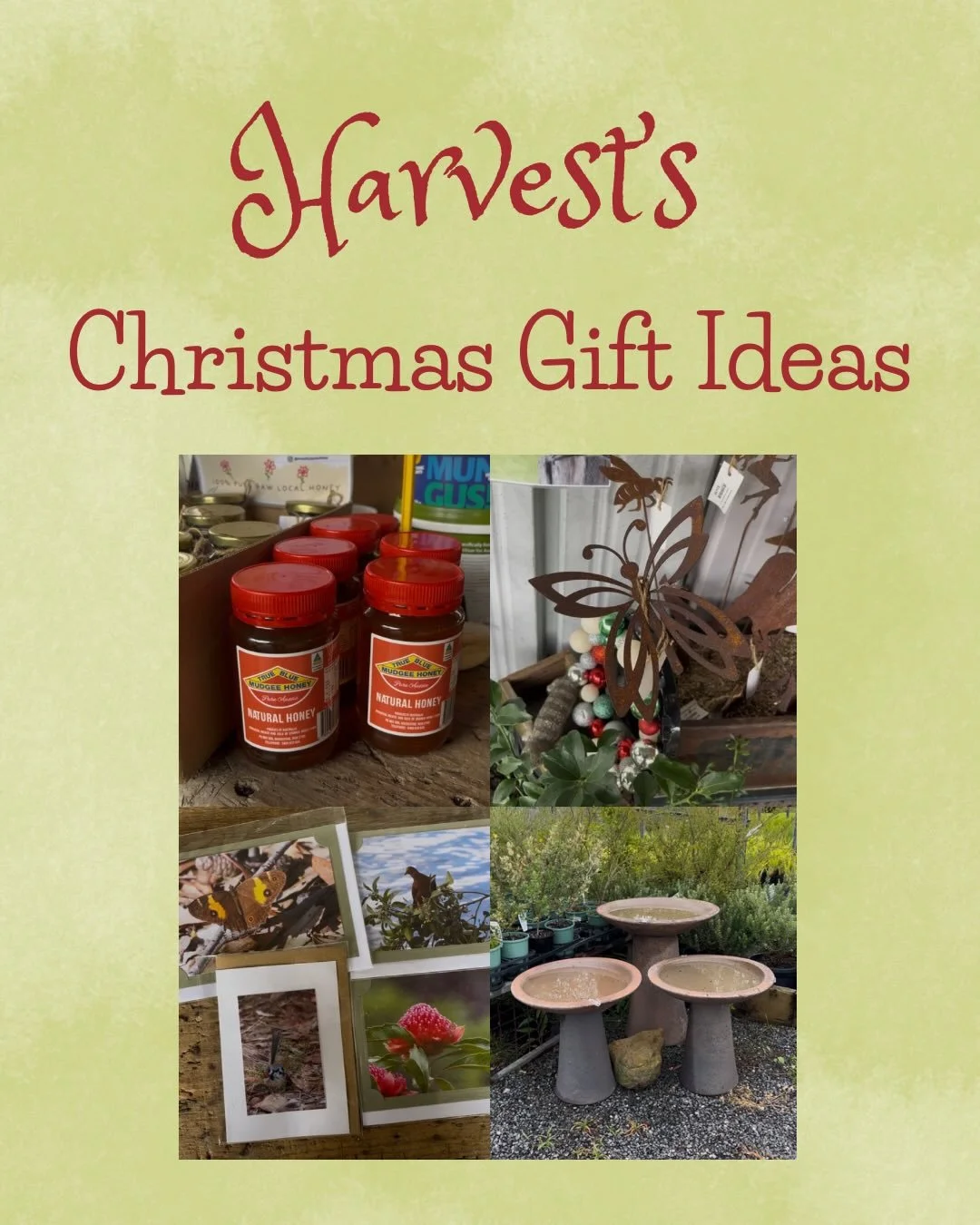 We&rsquo;ve got all your Christmas needs covered at Harvest! Here are some quick and easy gift ideas that your friends and family will love!🎄🎁 #christmas #giftideas #nursery #plants