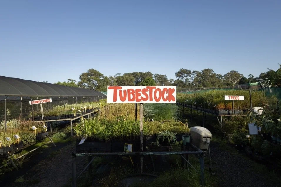 Here&rsquo;s some incredible photos of our nursery taken by @xmc2_00 . Thank you so much for these Xavier!