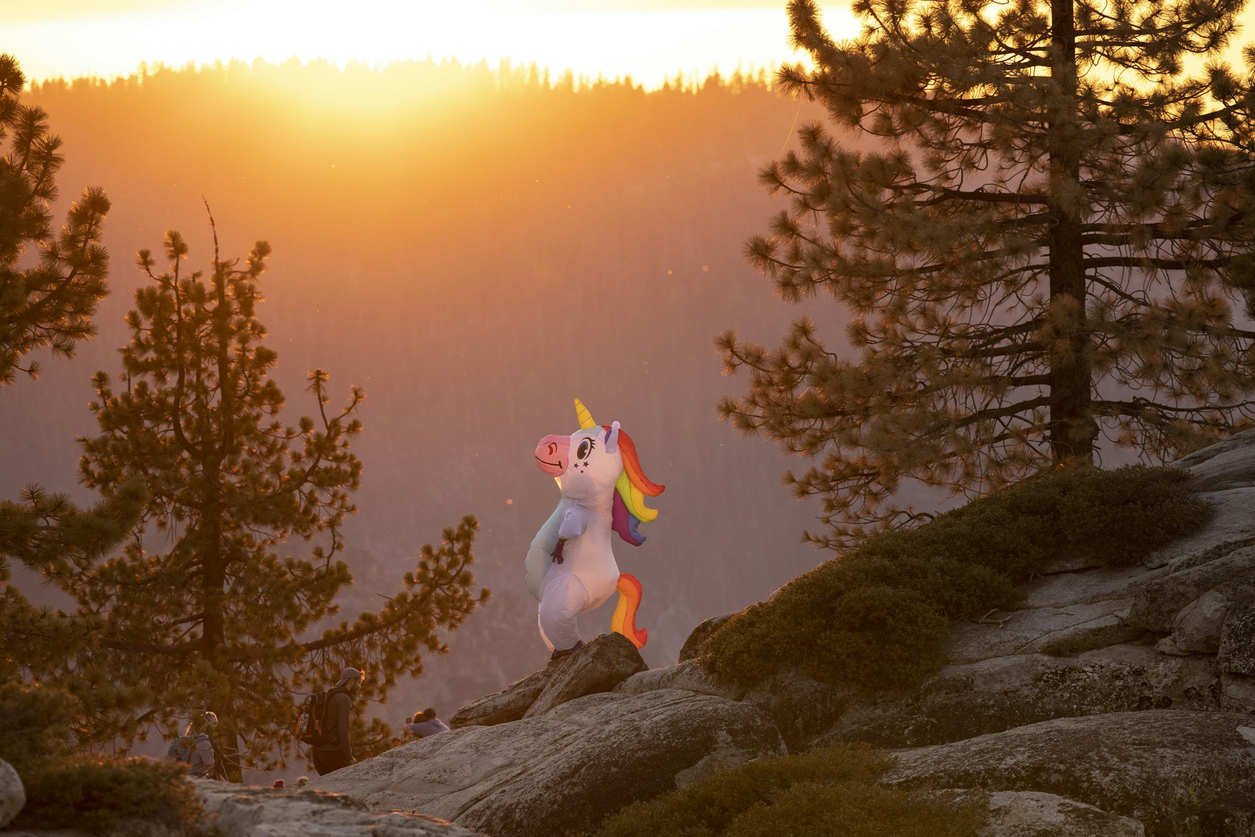 No Unicorn Dust, Just Strategy